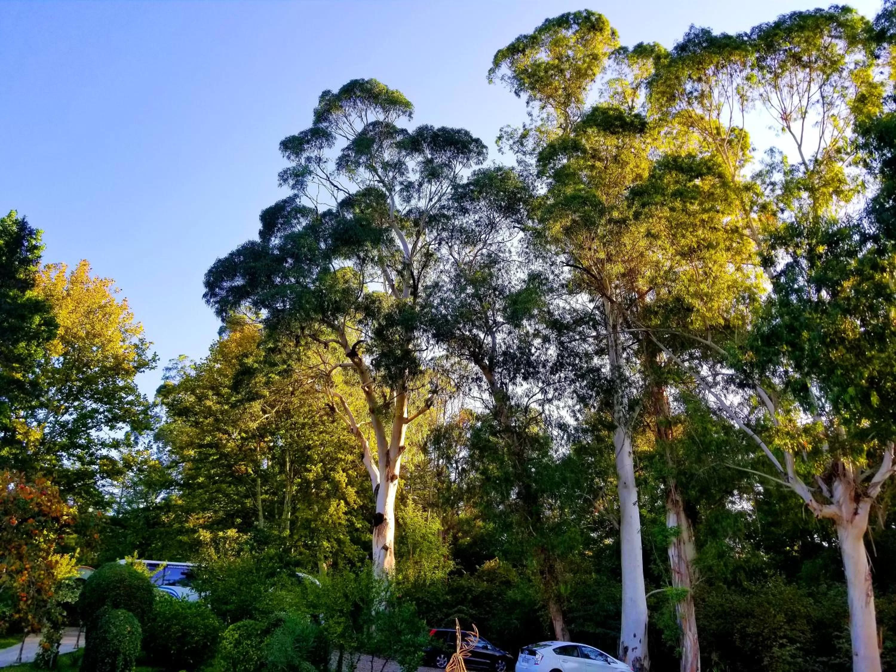 Natural landscape in Vita Gardenia Hotel Tskaltubo