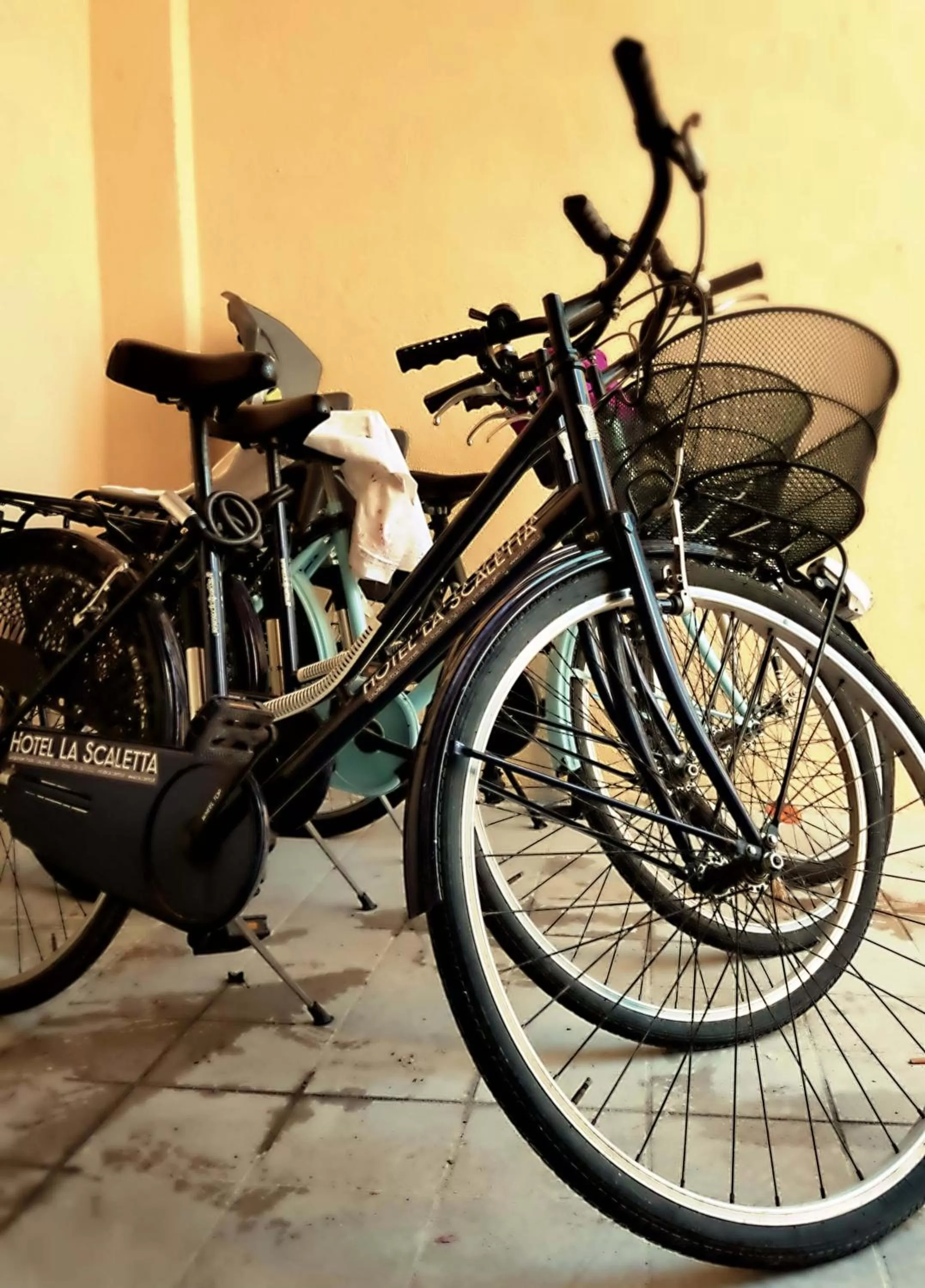 Cycling in Hotel La Scaletta
