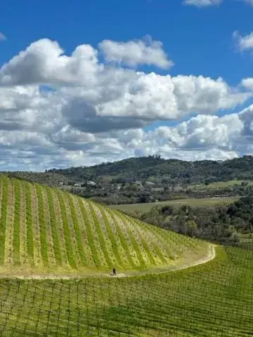 Four-Bedroom House in Inn Paradiso Four-Bedroom House in Inn Paradiso