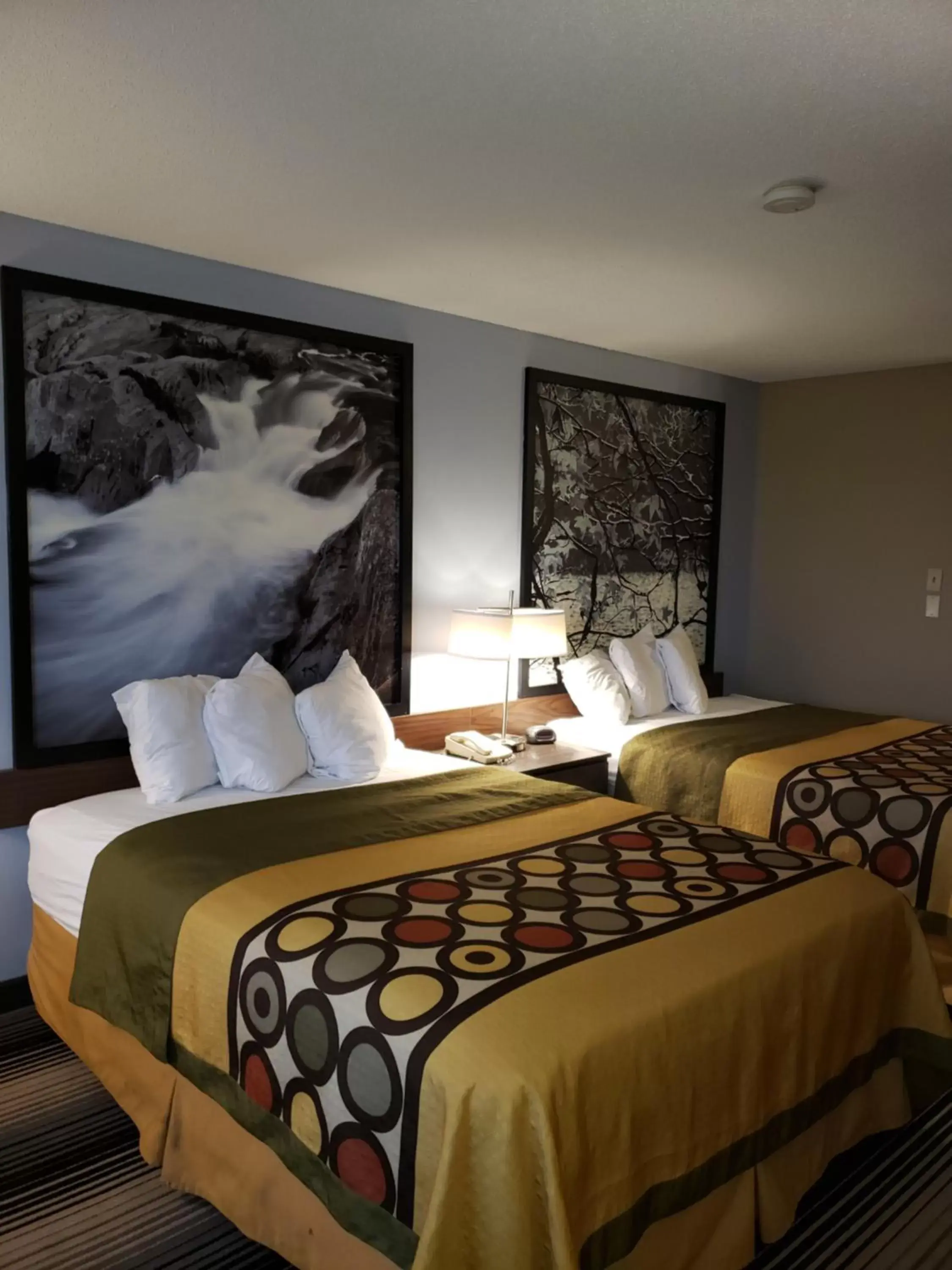 Bed in Super 8 by Wyndham Milwaukee Airport