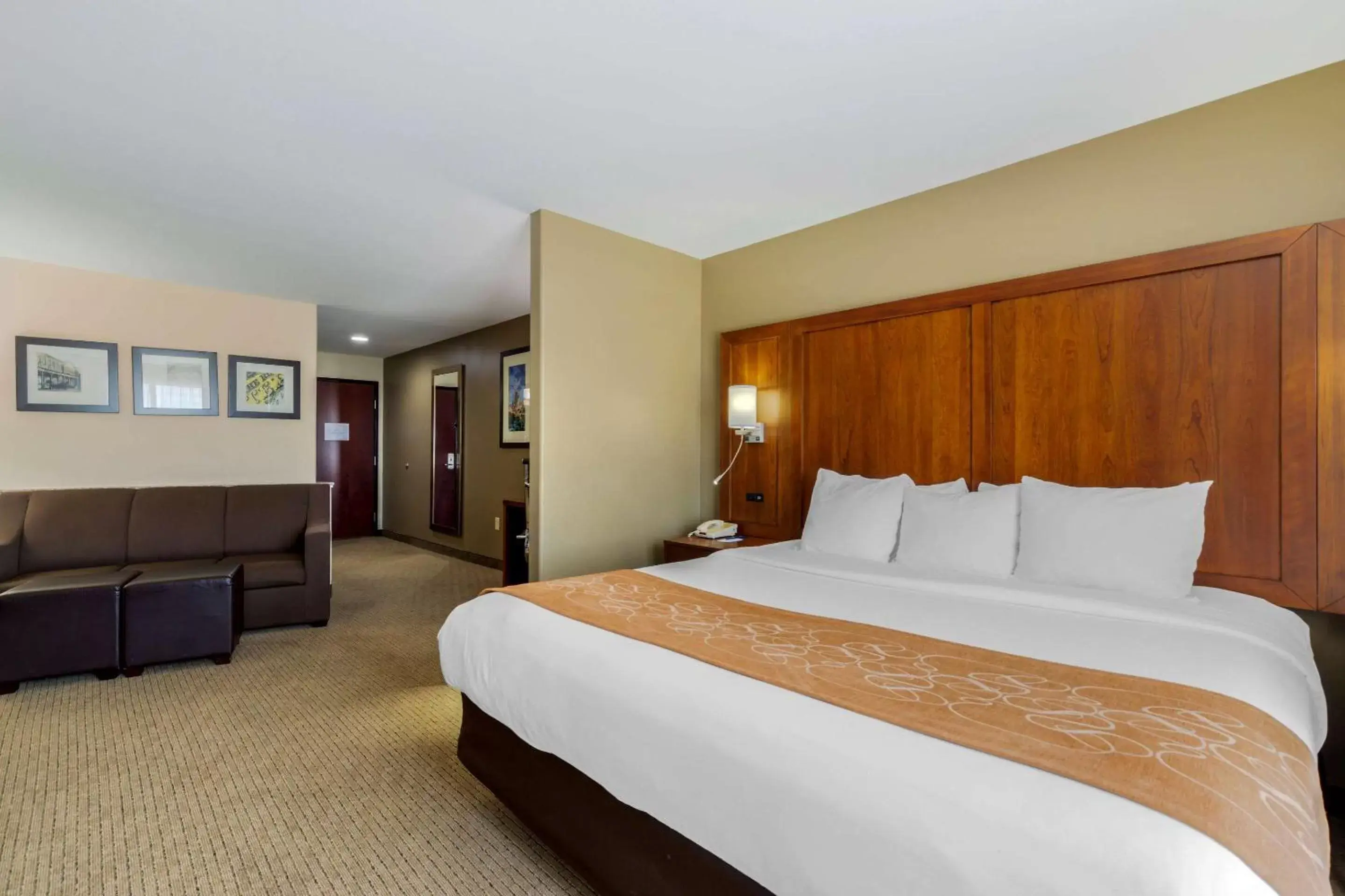 Bedroom, Bed in Comfort Suites North Pflugerville - Austin North