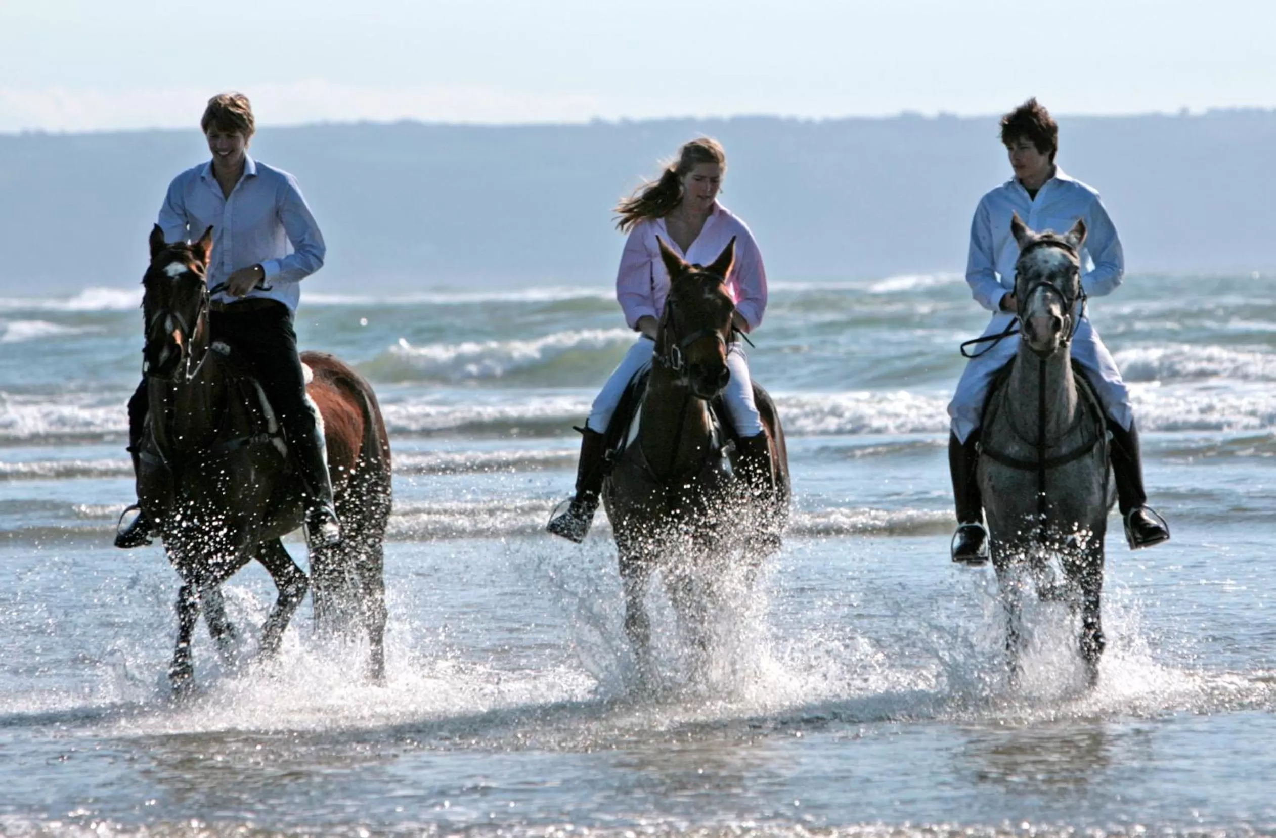 Beach in Hollamoor Farm
