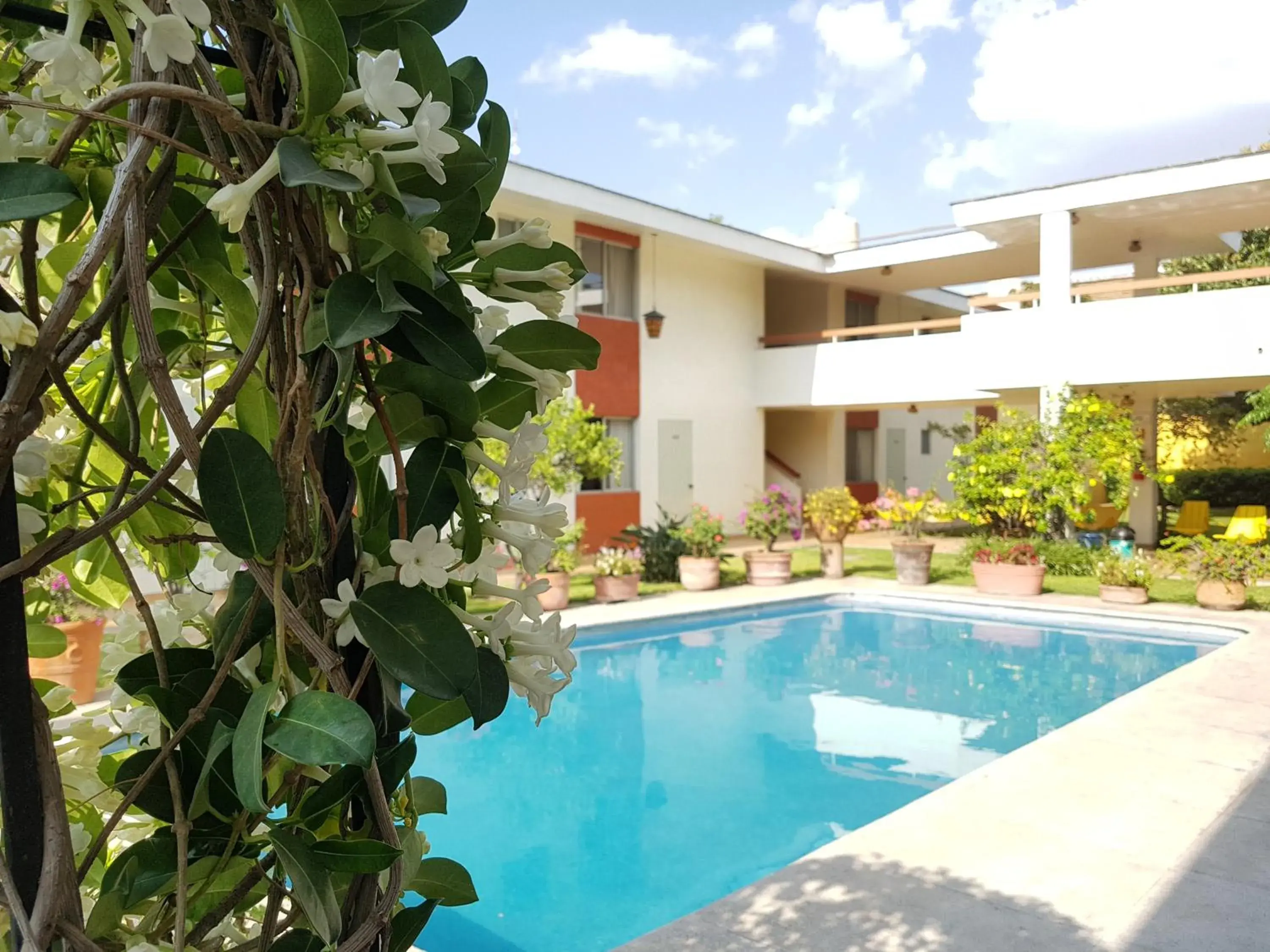 Patio, Swimming Pool in Hotel Isabel