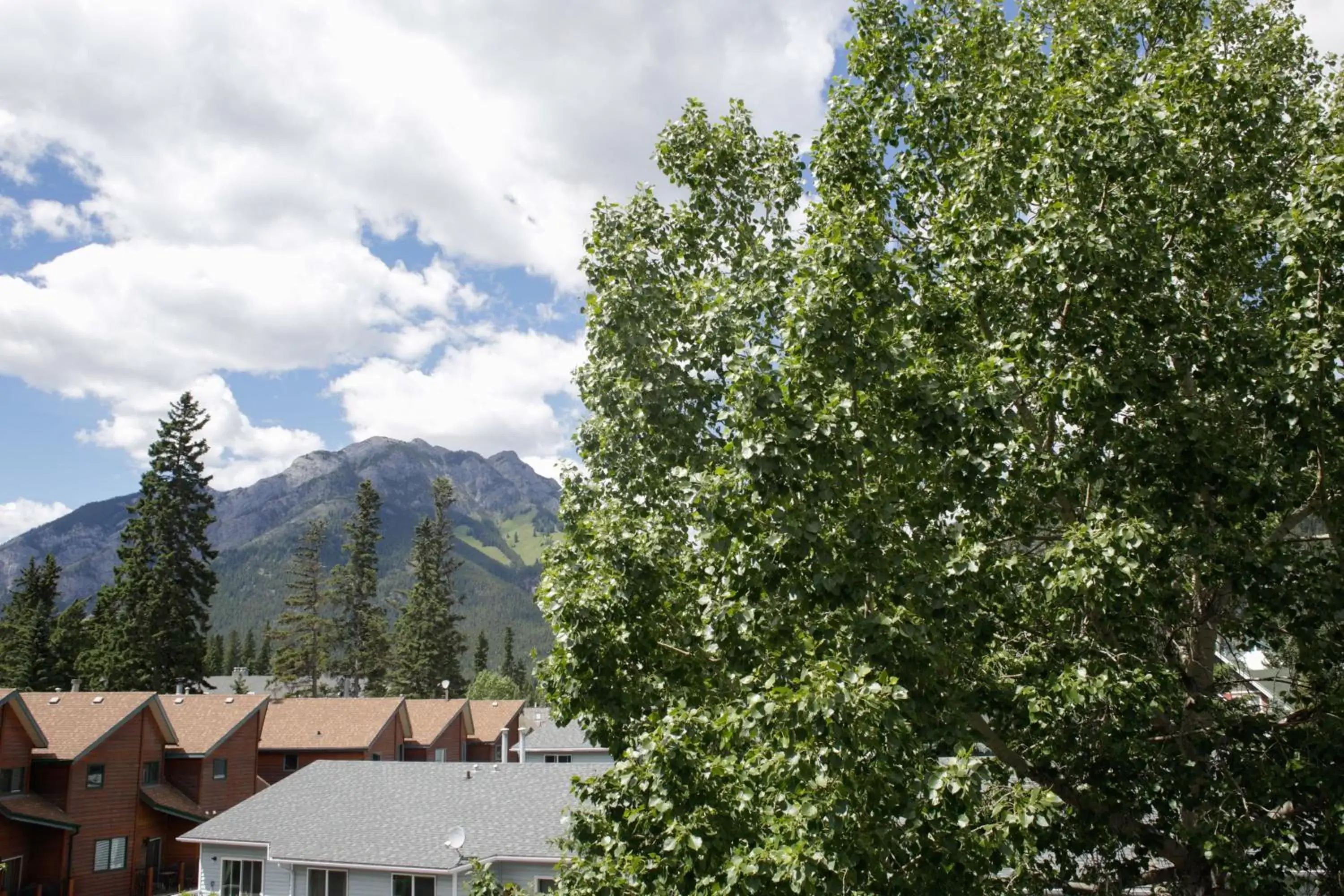 Mountain View in High Country Inn