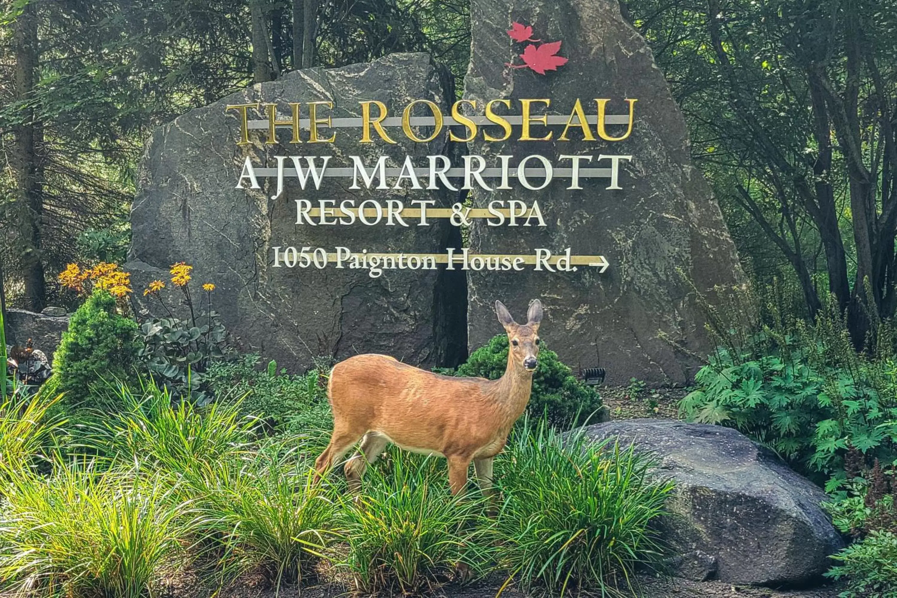 Property building, Other Animals in JW Marriott The Rosseau Muskoka Resort & Spa