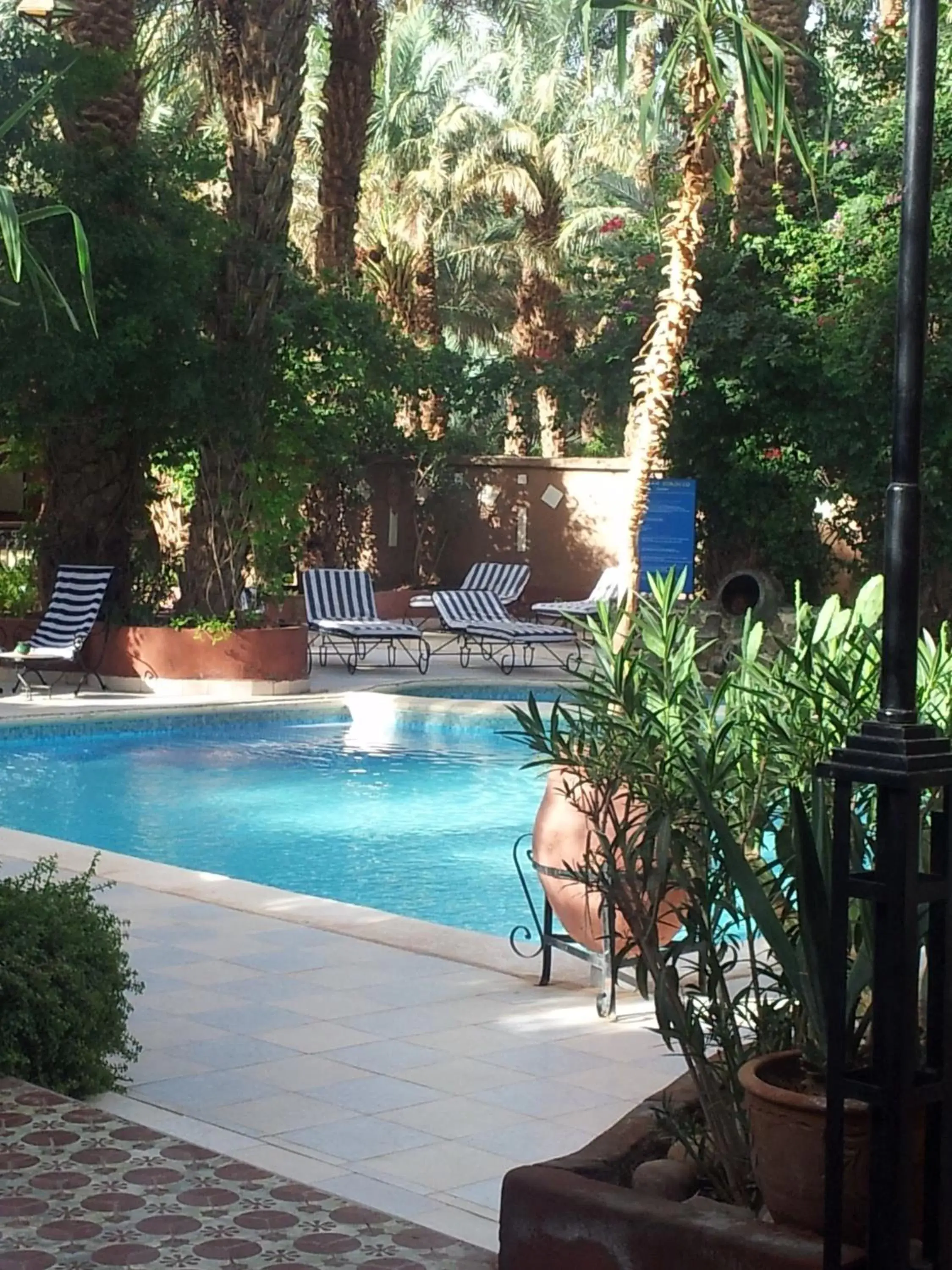 Garden view, Swimming Pool in Kasbah Sirocco