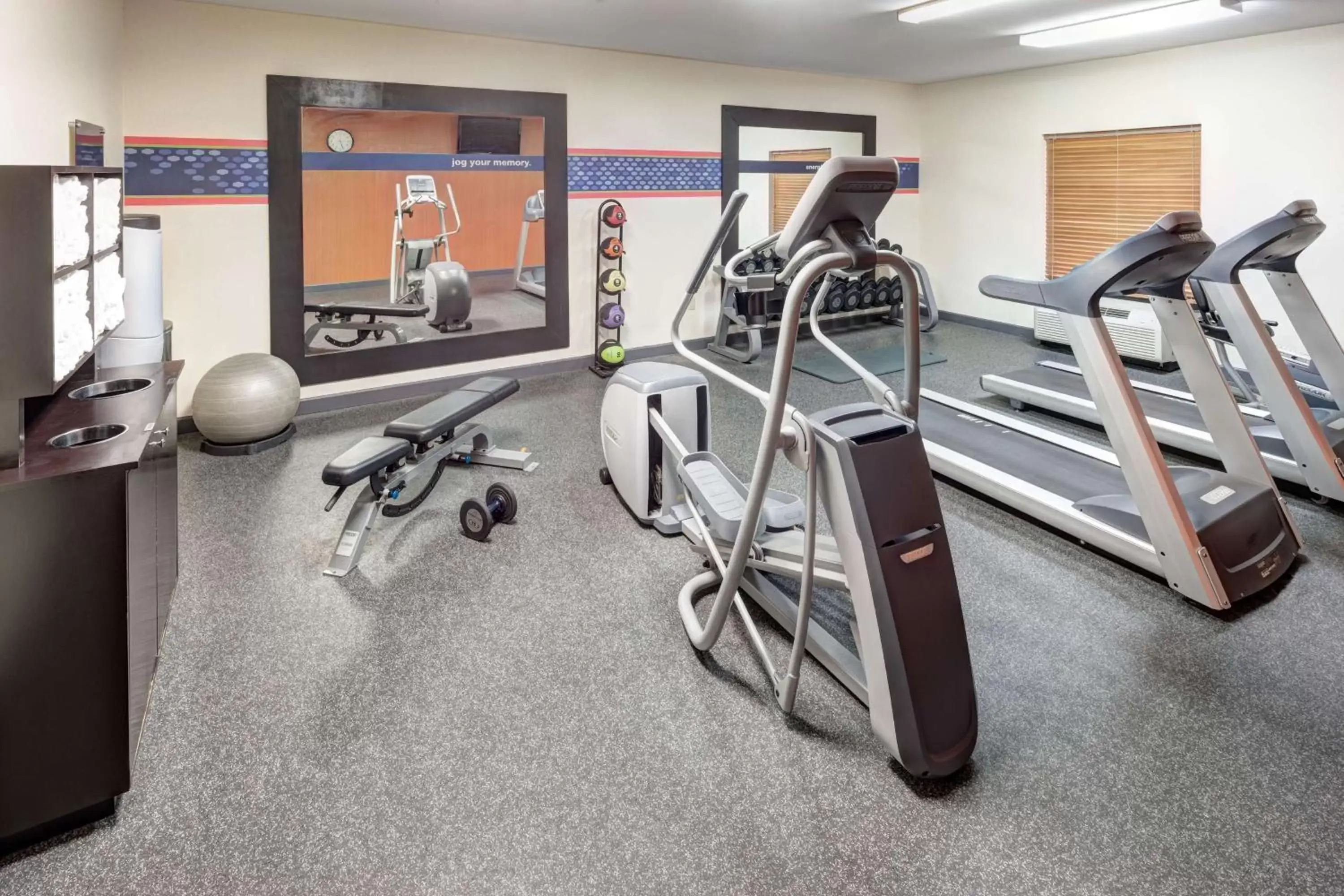 Fitness centre/facilities, Fitness Center/Facilities in Hampton Inn & Suites Cedar Rapids