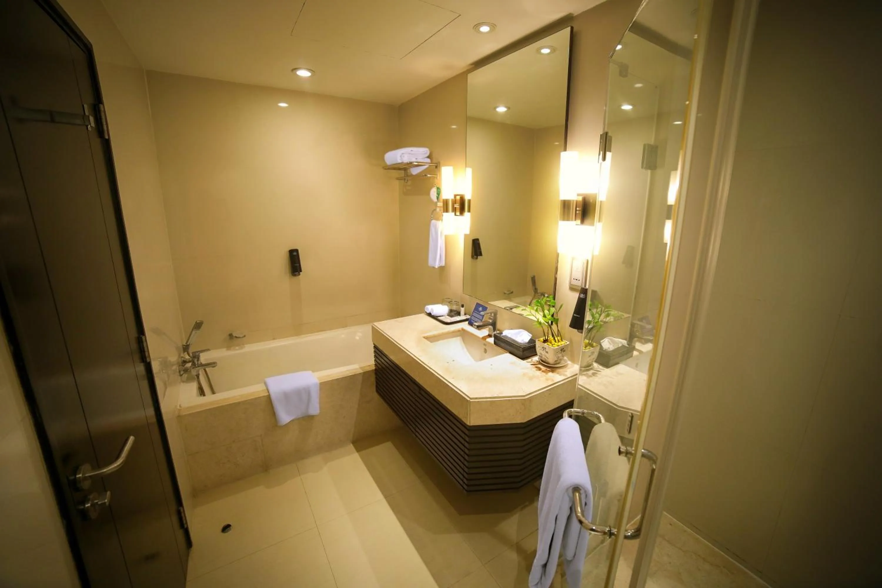Bathroom in Somerset Greenways Chennai
