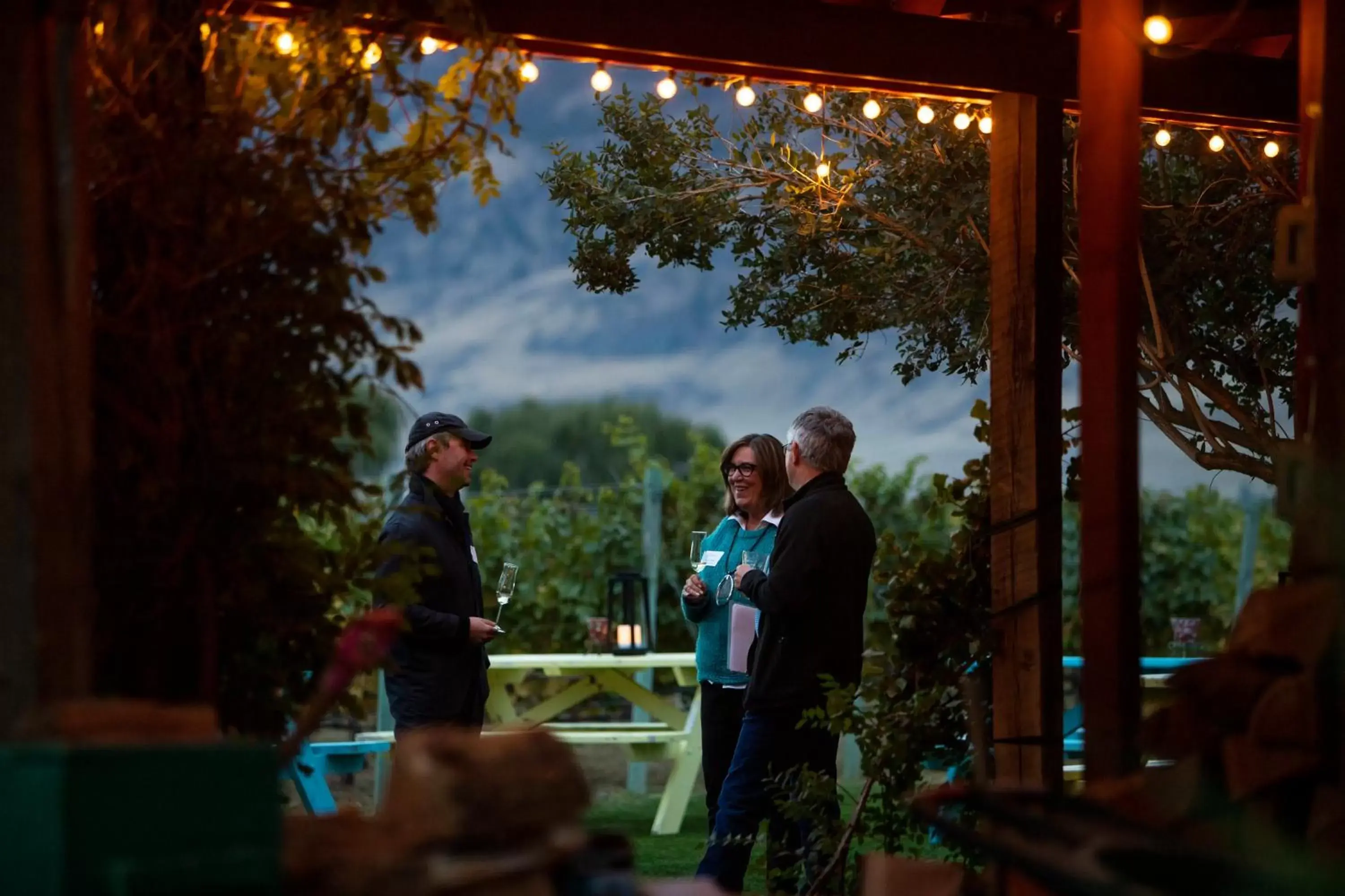 Balcony/Terrace in Crowsnest Vineyards Guesthouse