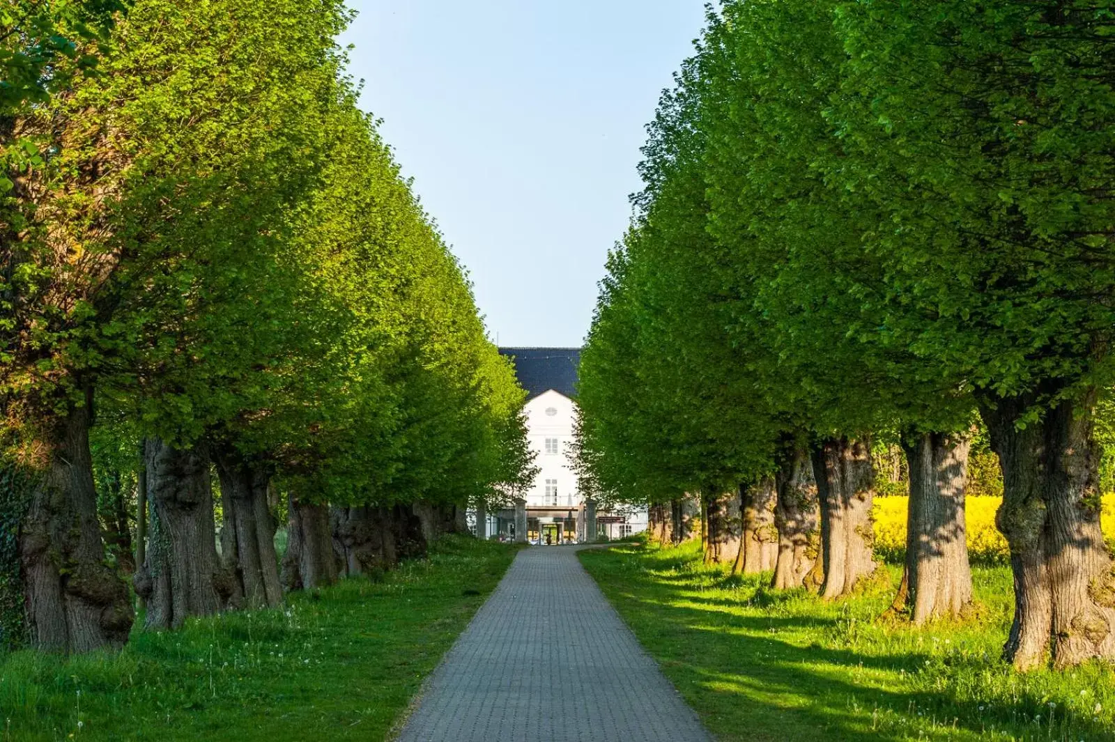 Spring, Garden in Schlossgut Gross Schwansee