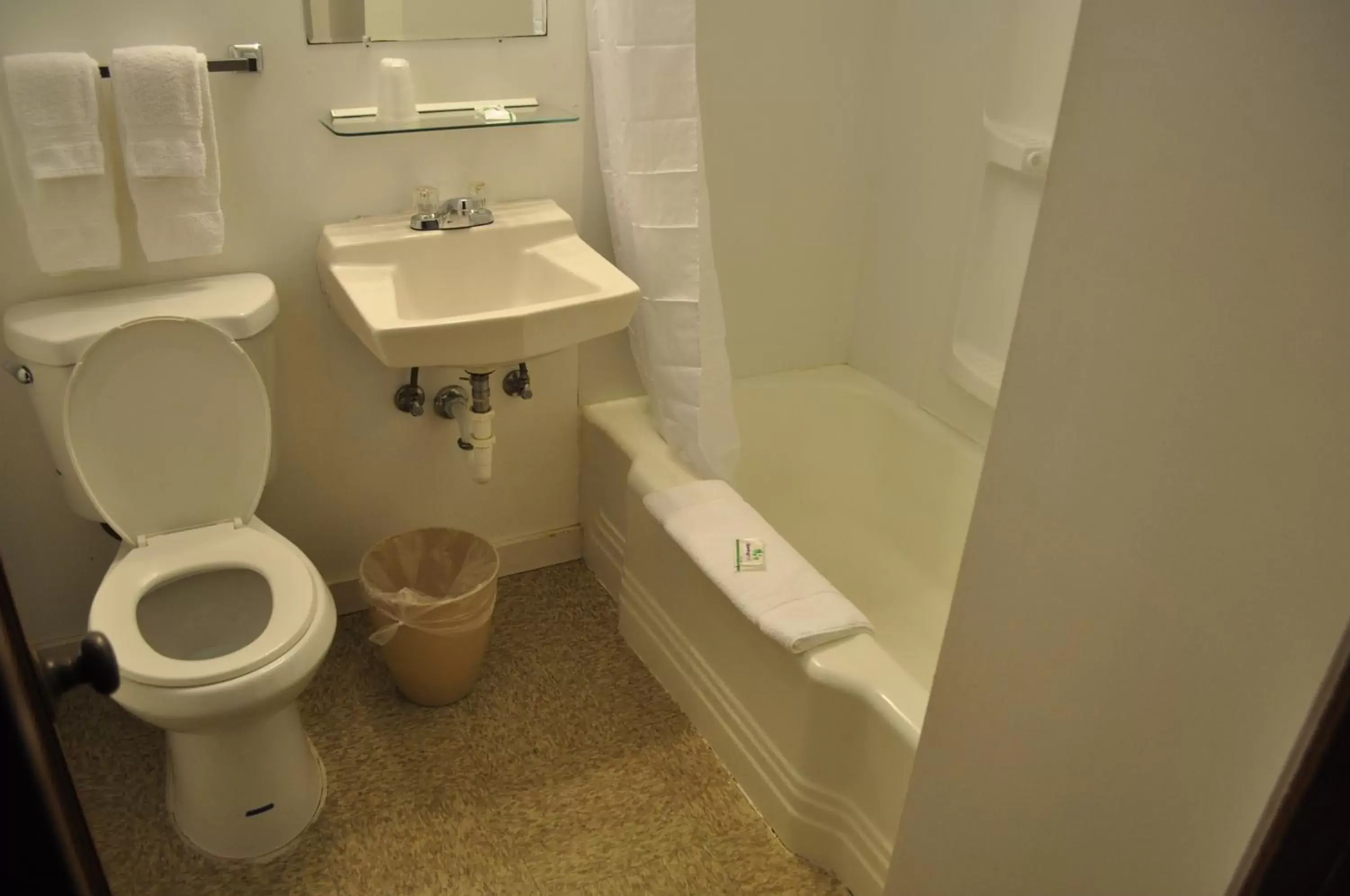 Bathroom in Golden Lion Motel