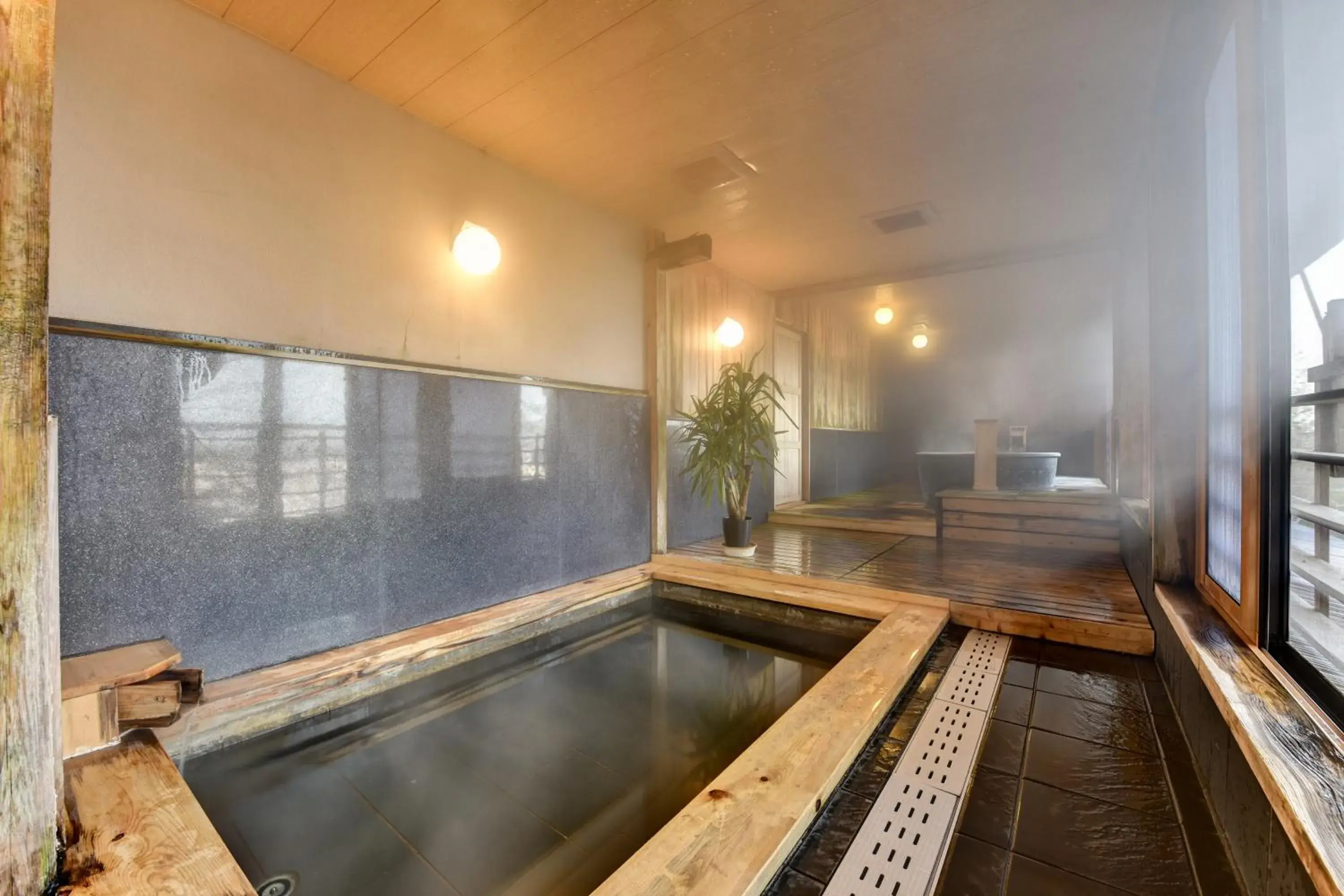 Hot Spring Bath, Swimming Pool in Futarishizuka Hakuun Hotel