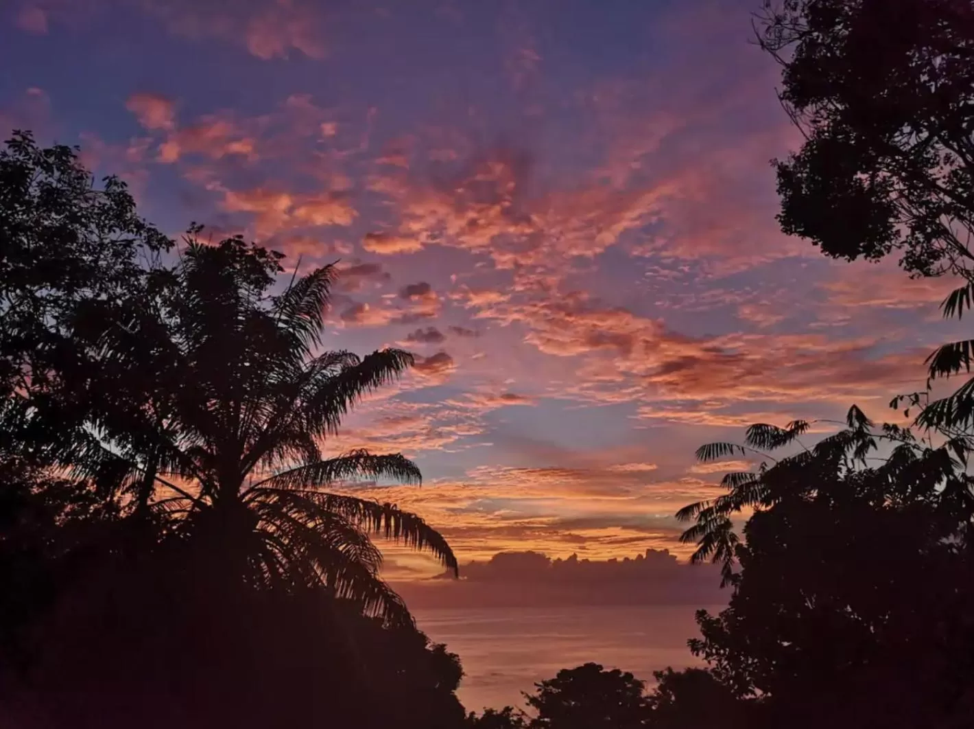 Casa G - Manuel Antonio oceanview hotel