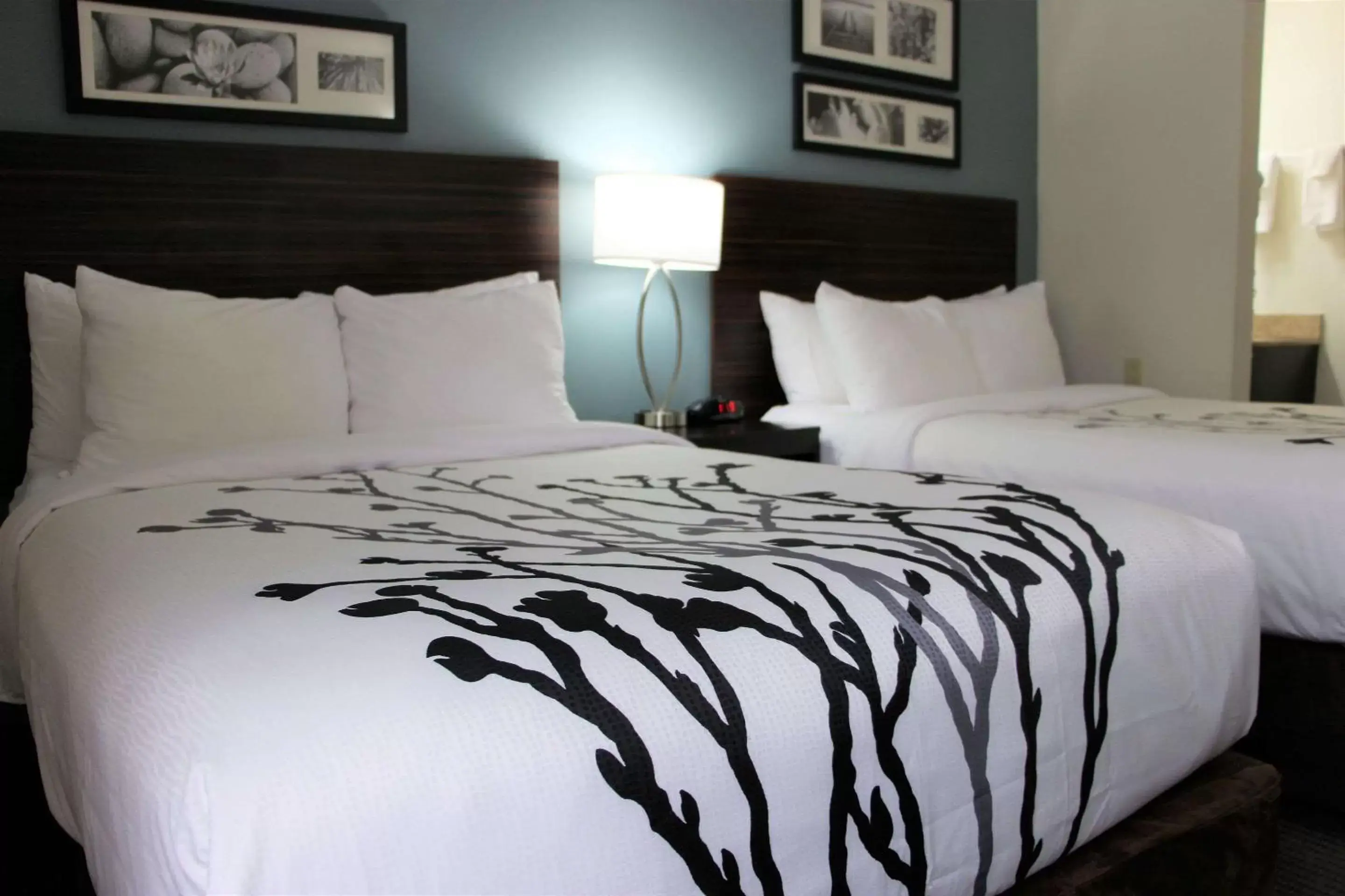 Photo of the whole room, Bed in Sleep Inn Chattanooga Hamilton Place Photo of the whole room, Bed in Sleep Inn Chattanooga Hamilton Place