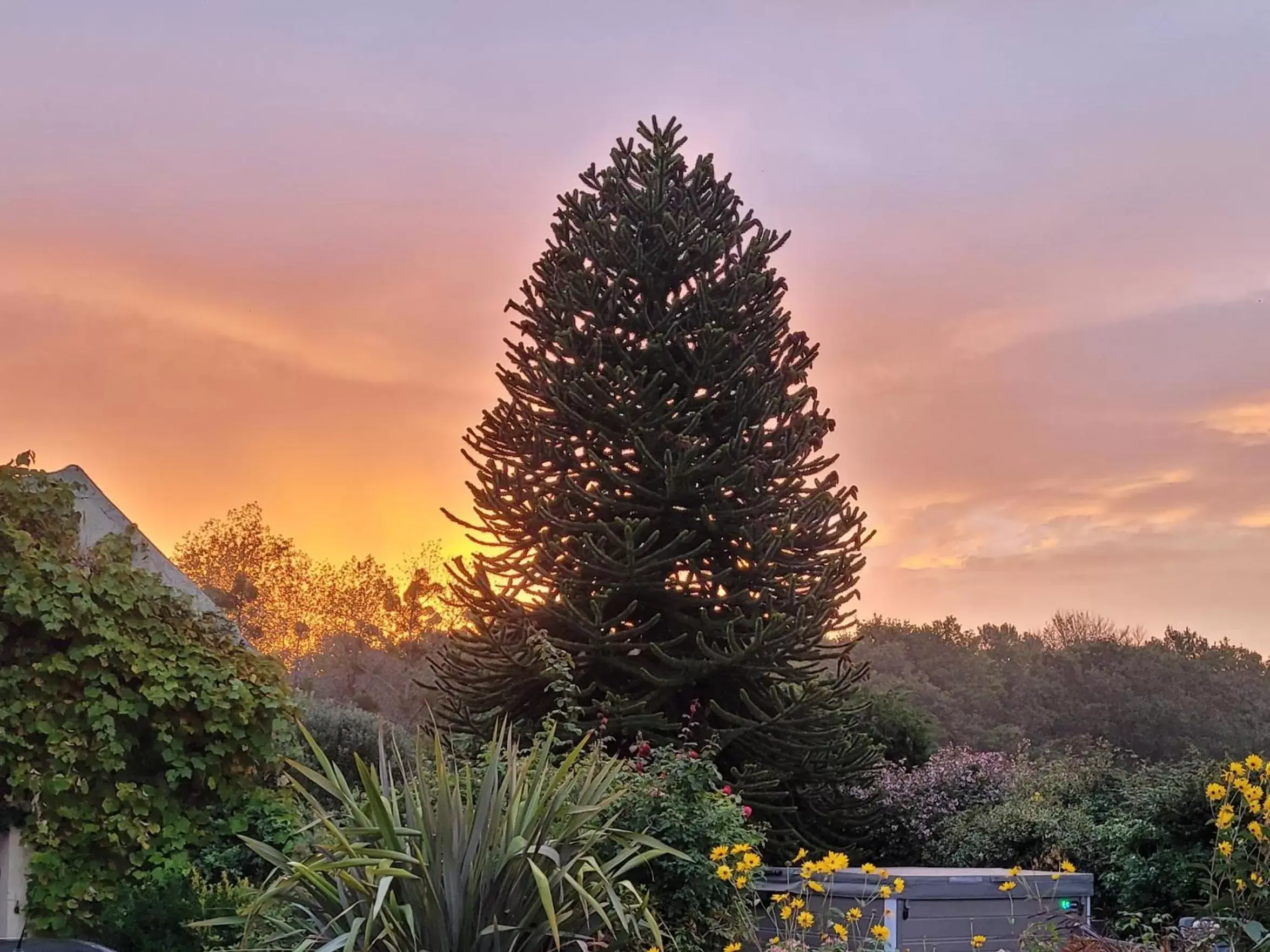 Sunrise, Sunrise/Sunset in La Maison Keribin