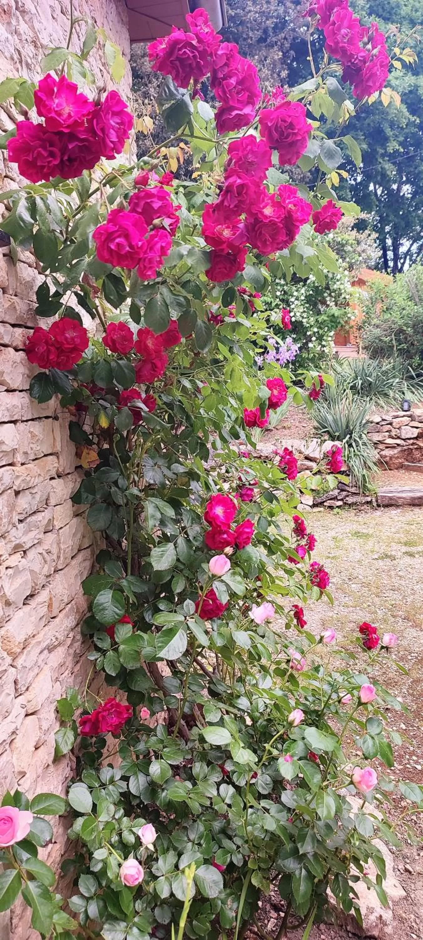 Garden in Aux Couleurs d'Esteil