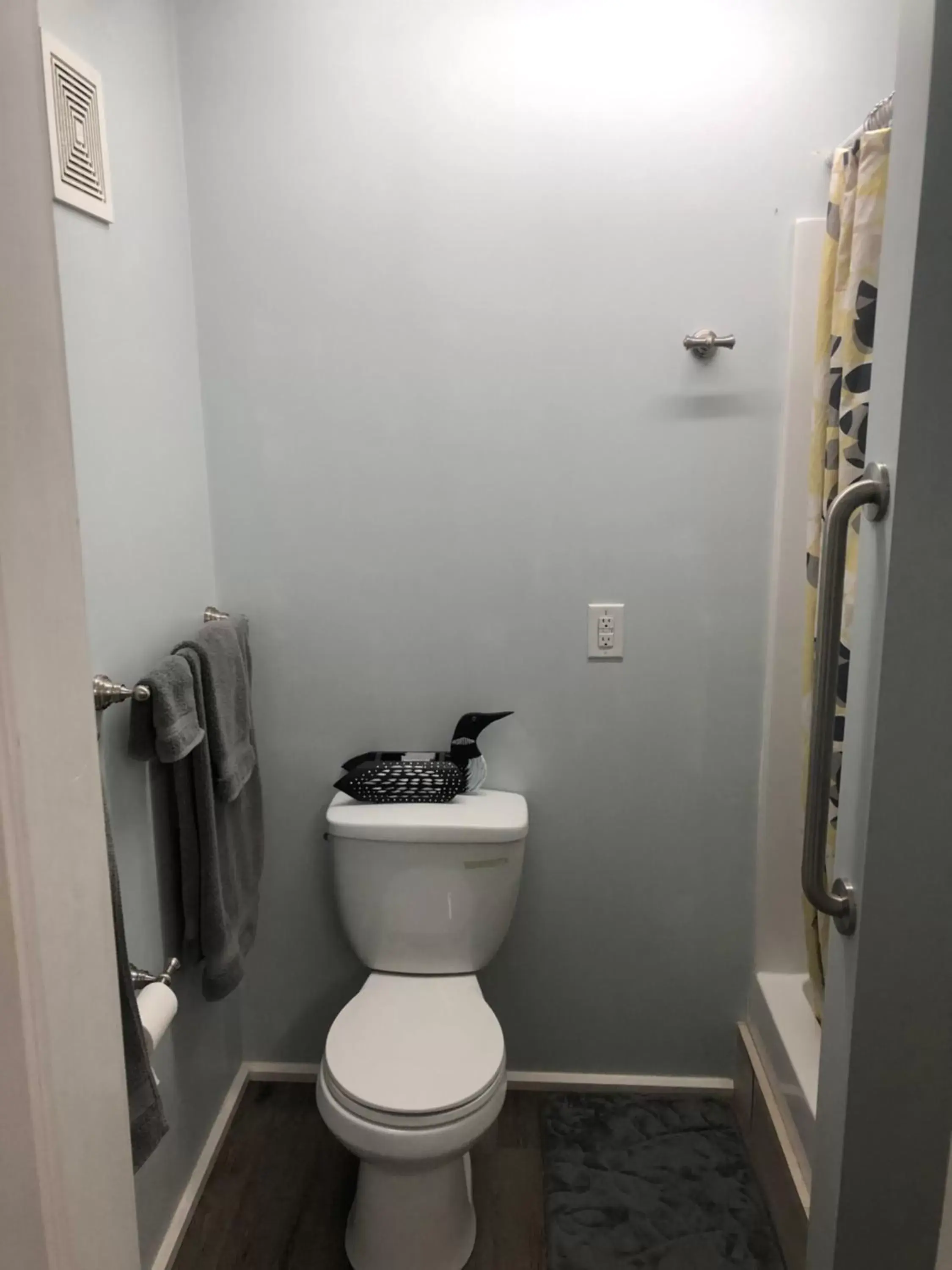Toilet, Bathroom in Copperville B & B