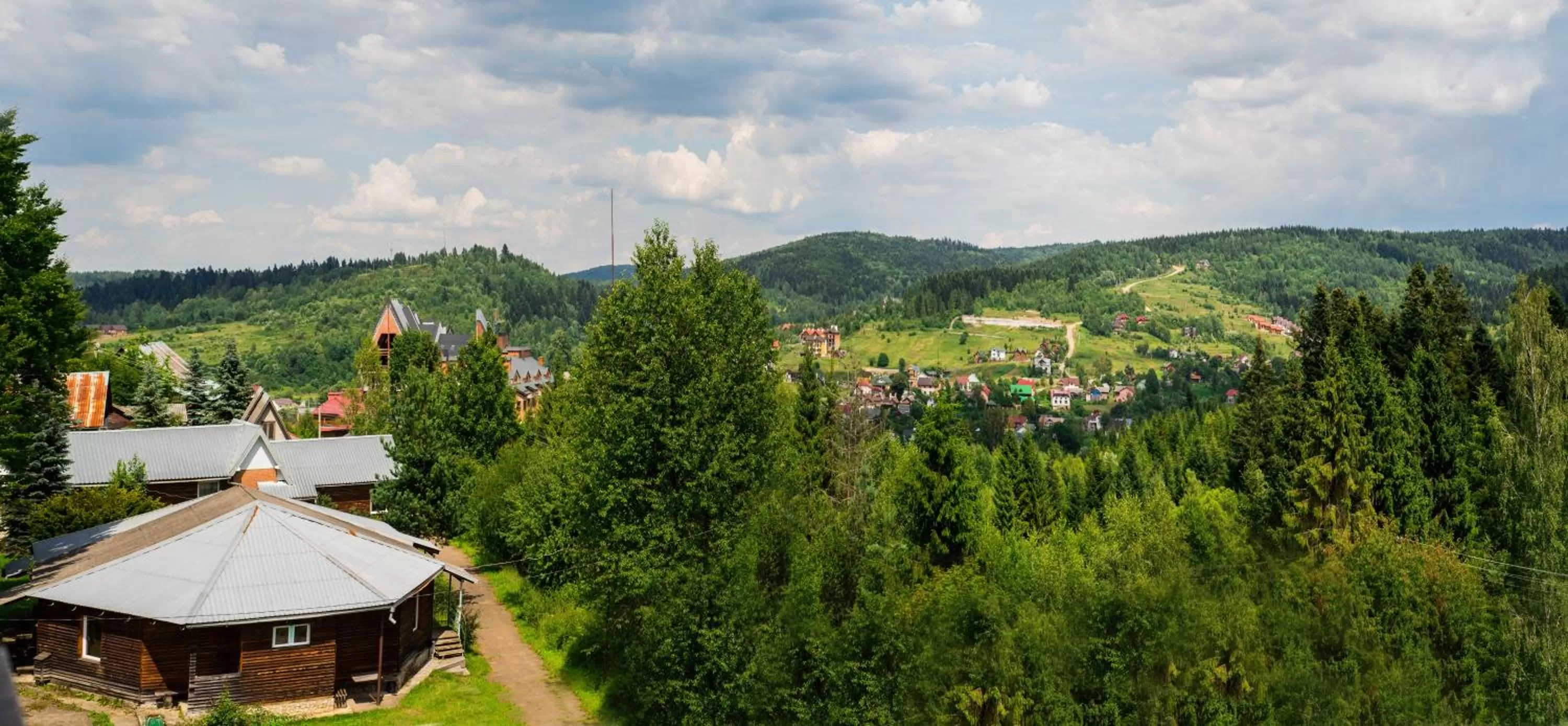 View (from property/room) in Zelenyy Bir