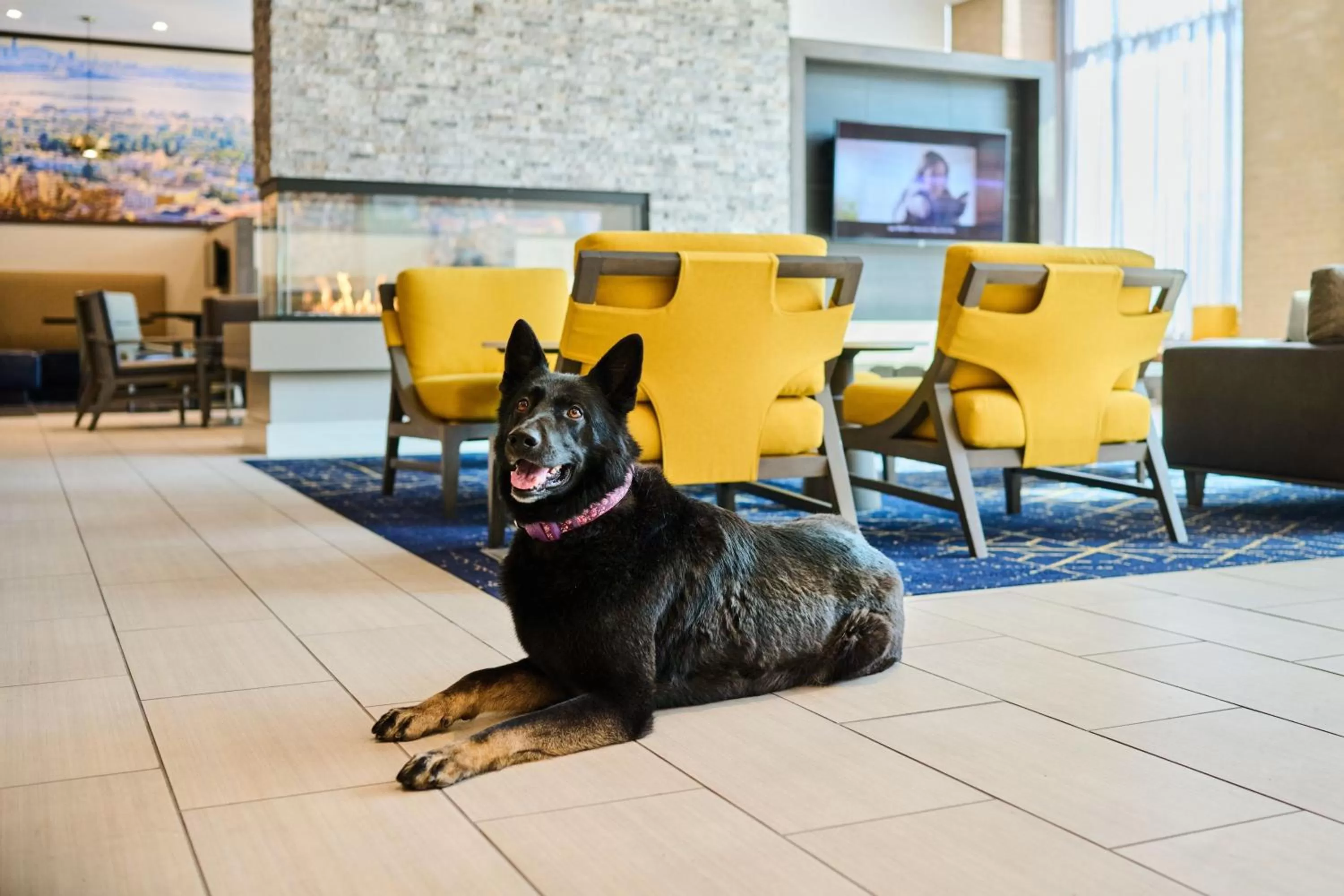 Other in Residence Inn By Marriott Berkeley