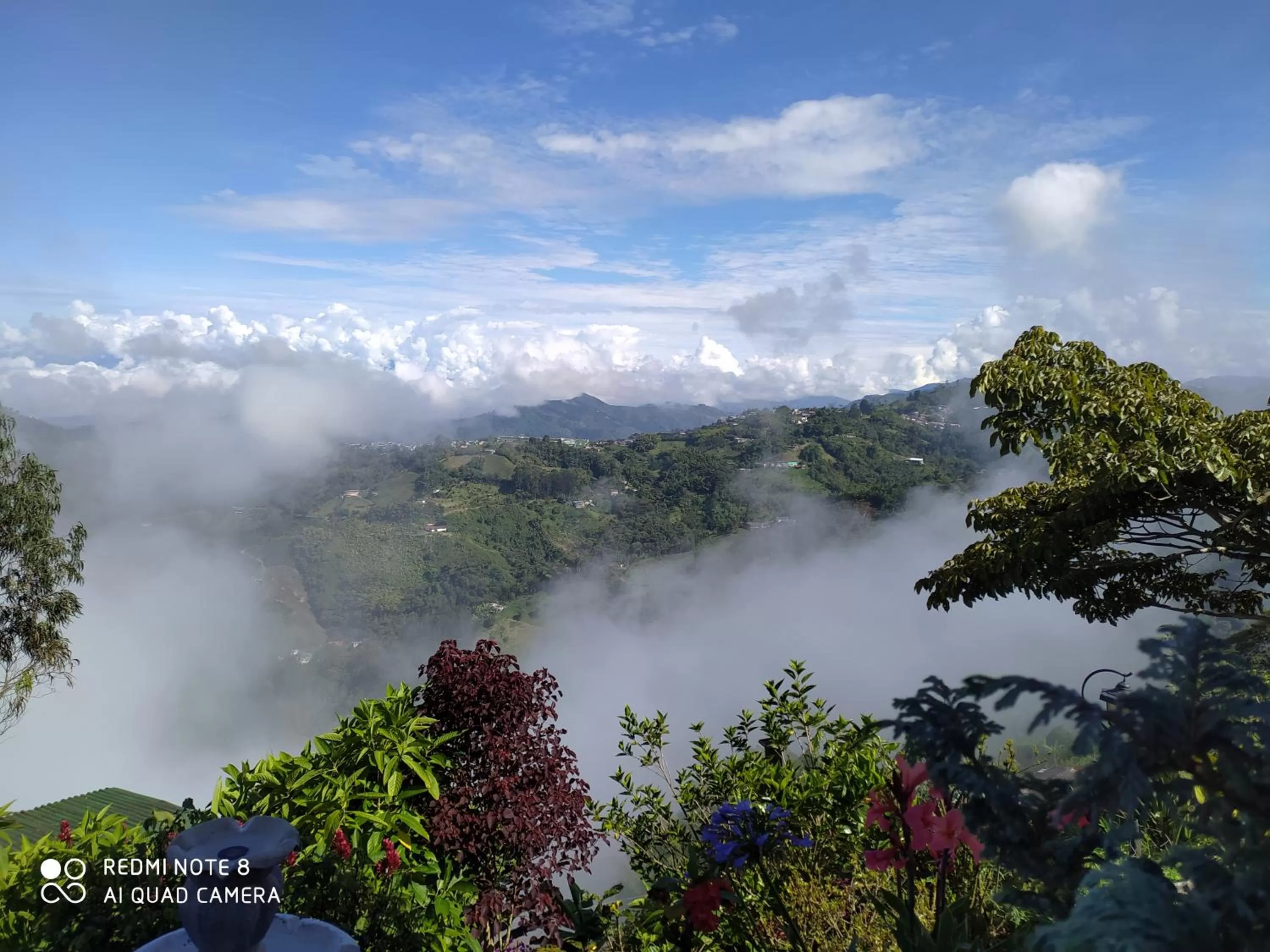 Mirador Finca Morrogacho