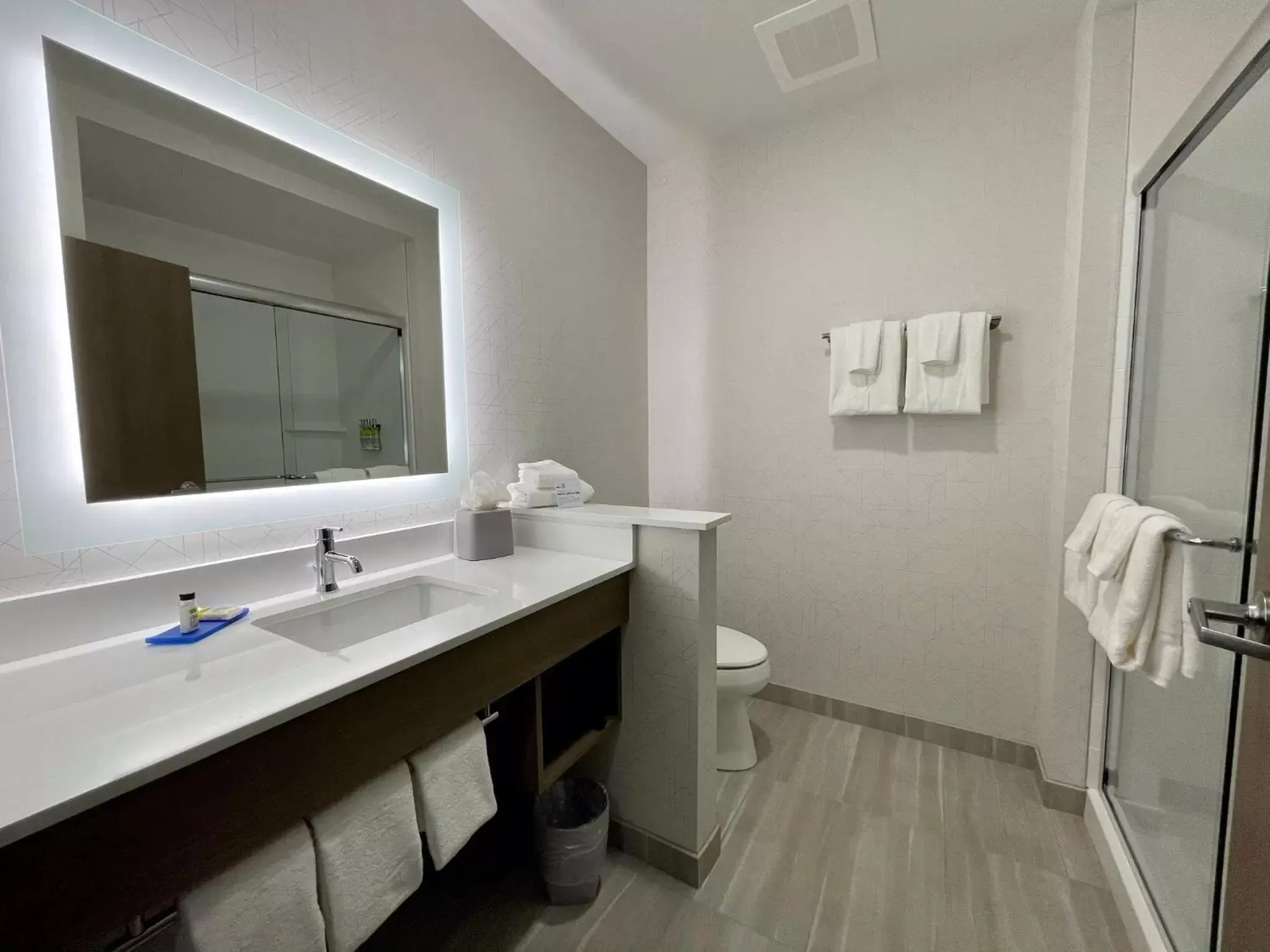 Bathroom in Holiday Inn Express & Suites - Ft. Smith - Airport, an IHG Hotel