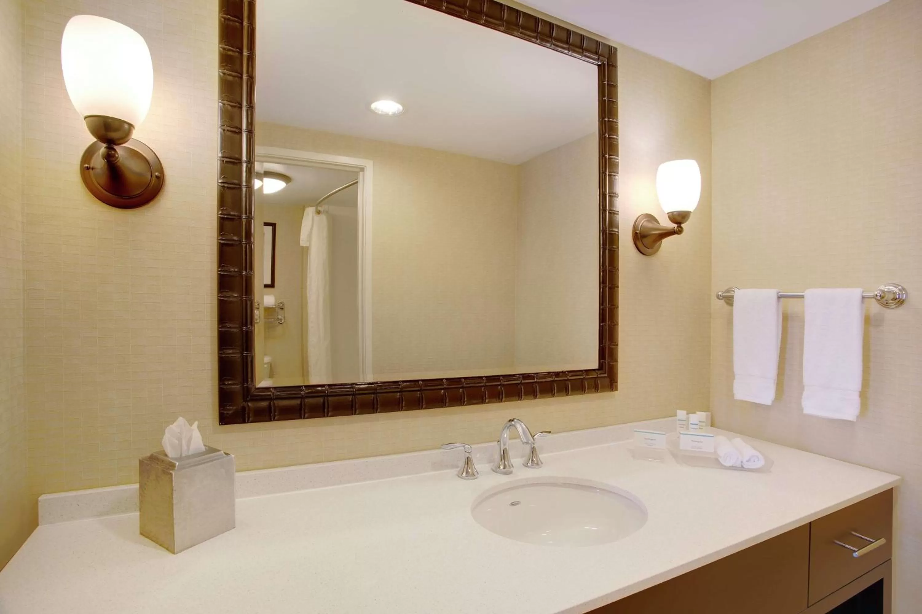 Bathroom in Homewood Suites by Hilton Tampa-Brandon