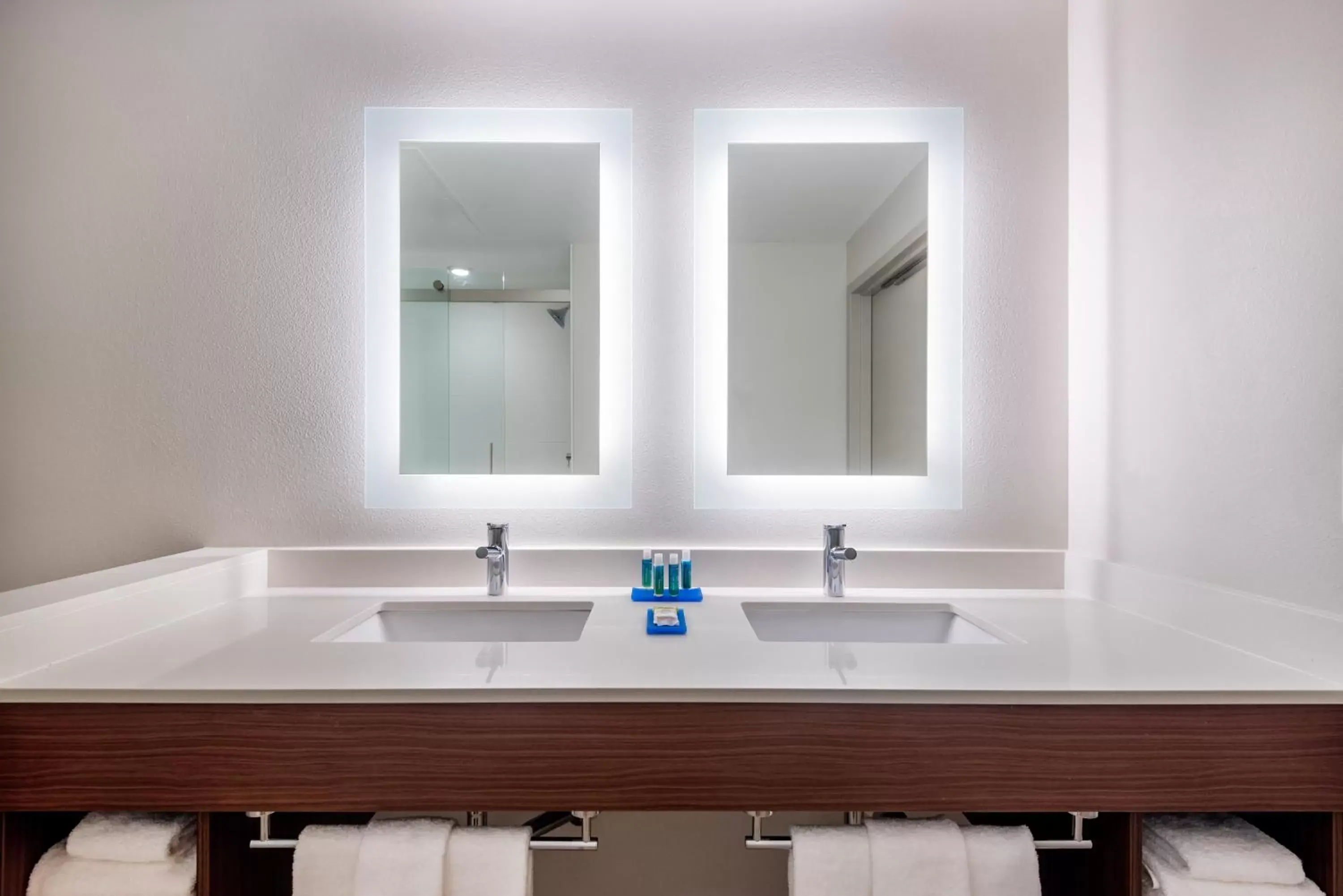 Bathroom in Holiday Inn Express & Suites Santa Ana - Orange County, an IHG Hotel