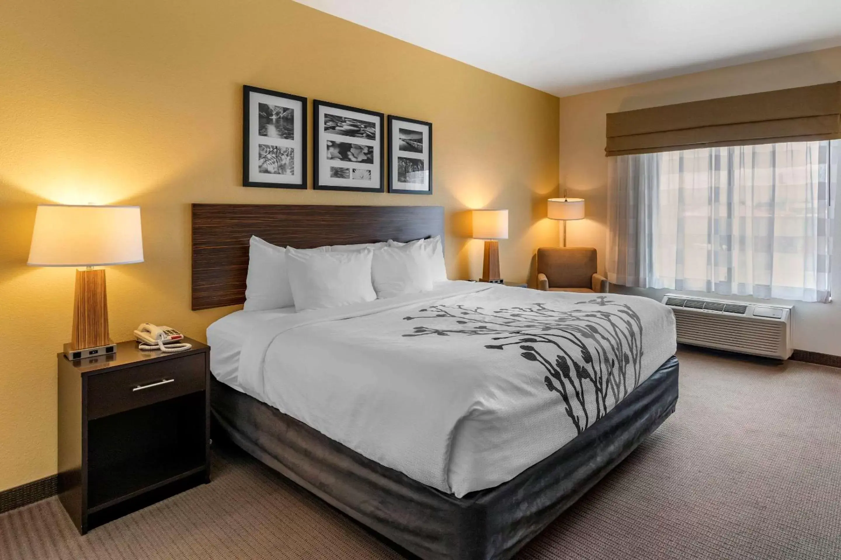 Bedroom, Bed in Sleep Inn & Suites Miles City