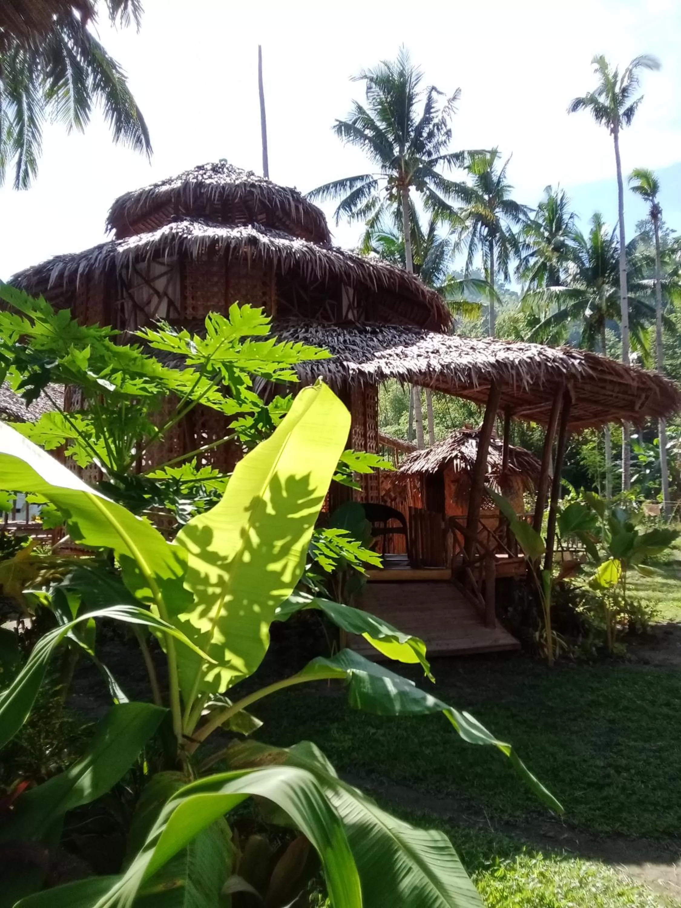 Prince John Beachfront Eco Bungalows and Restaurant