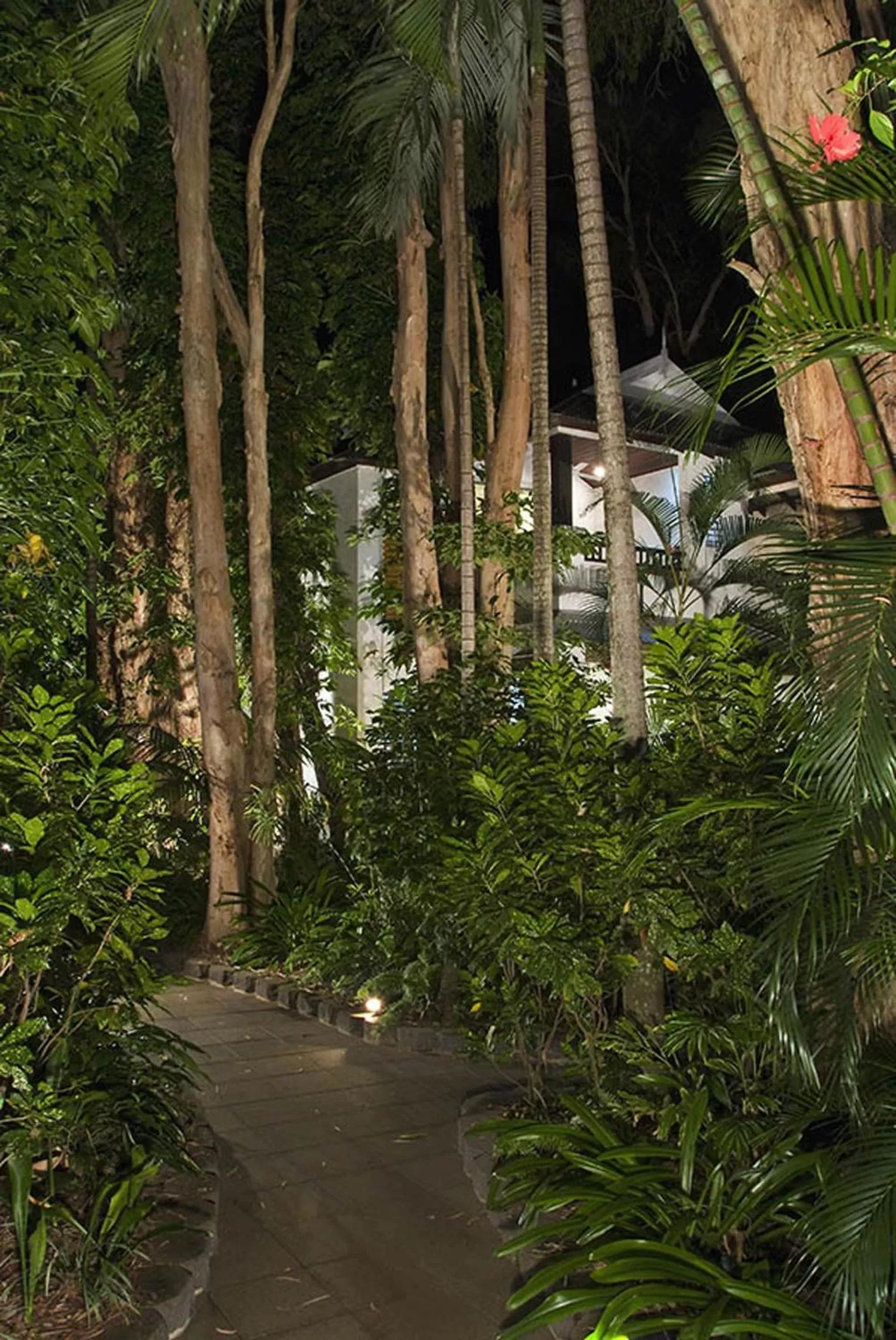 Garden in The Reef Retreat Palm Cove