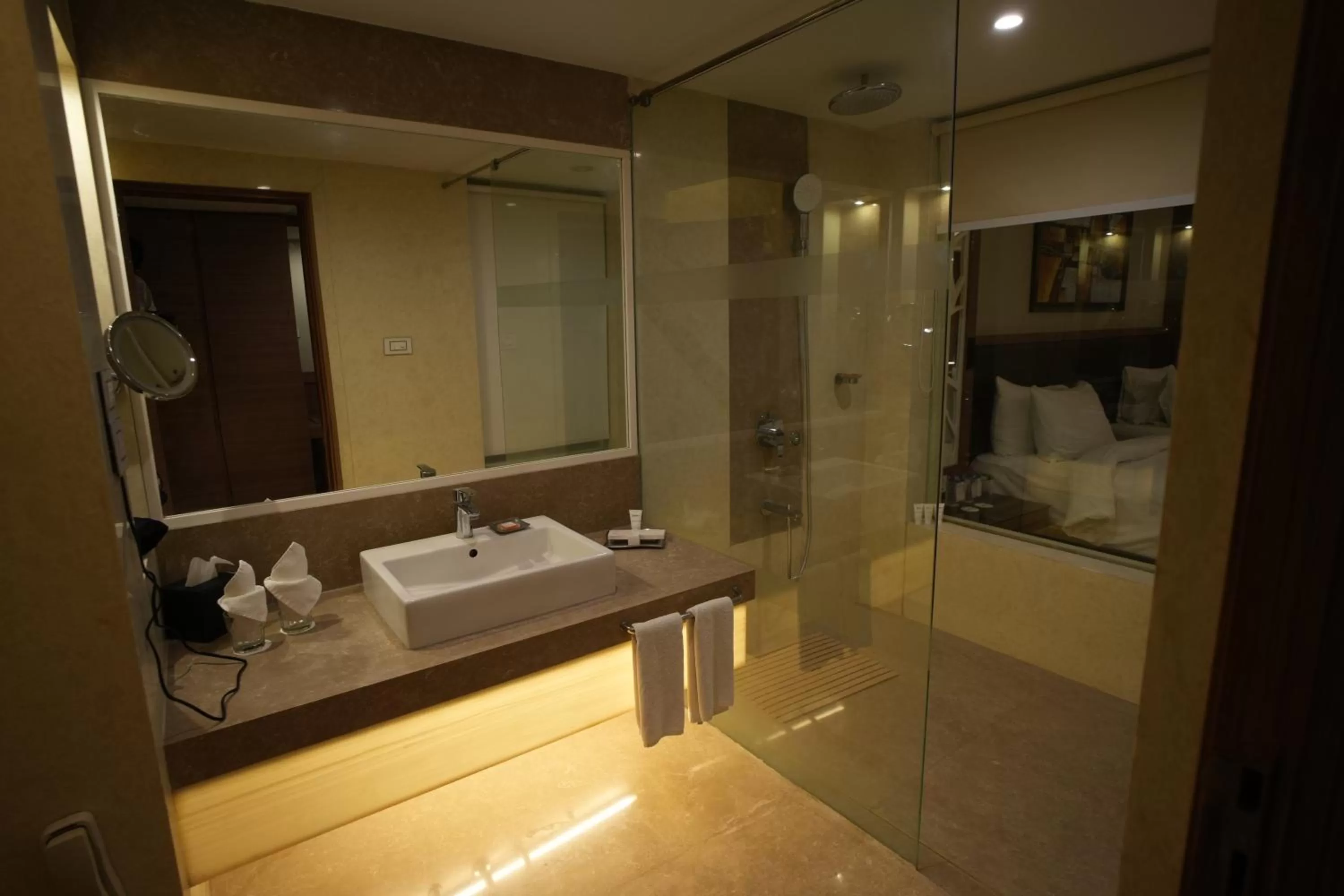 Bathroom in Radisson Udaipur