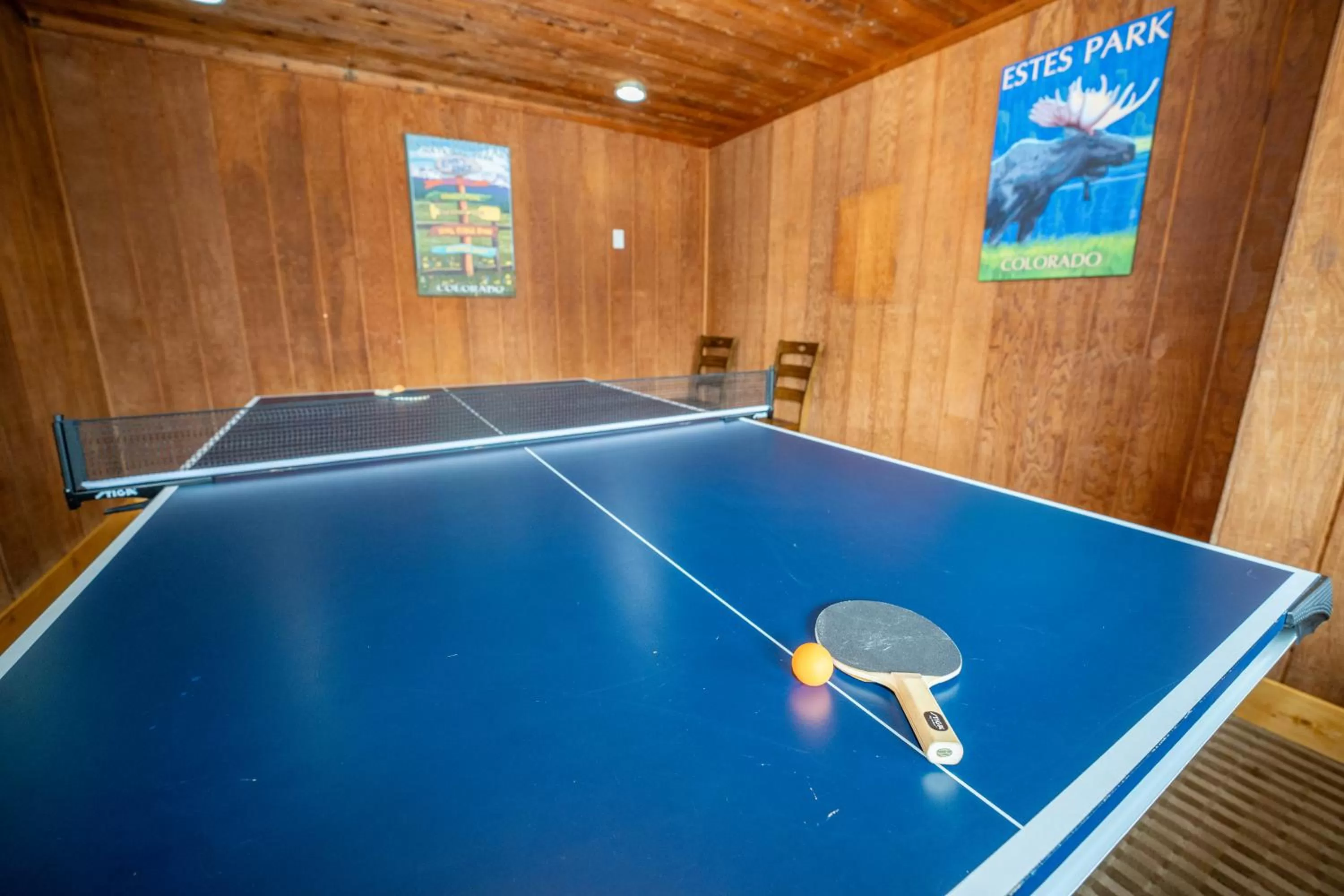 Table tennis in Estes Mountain Inn