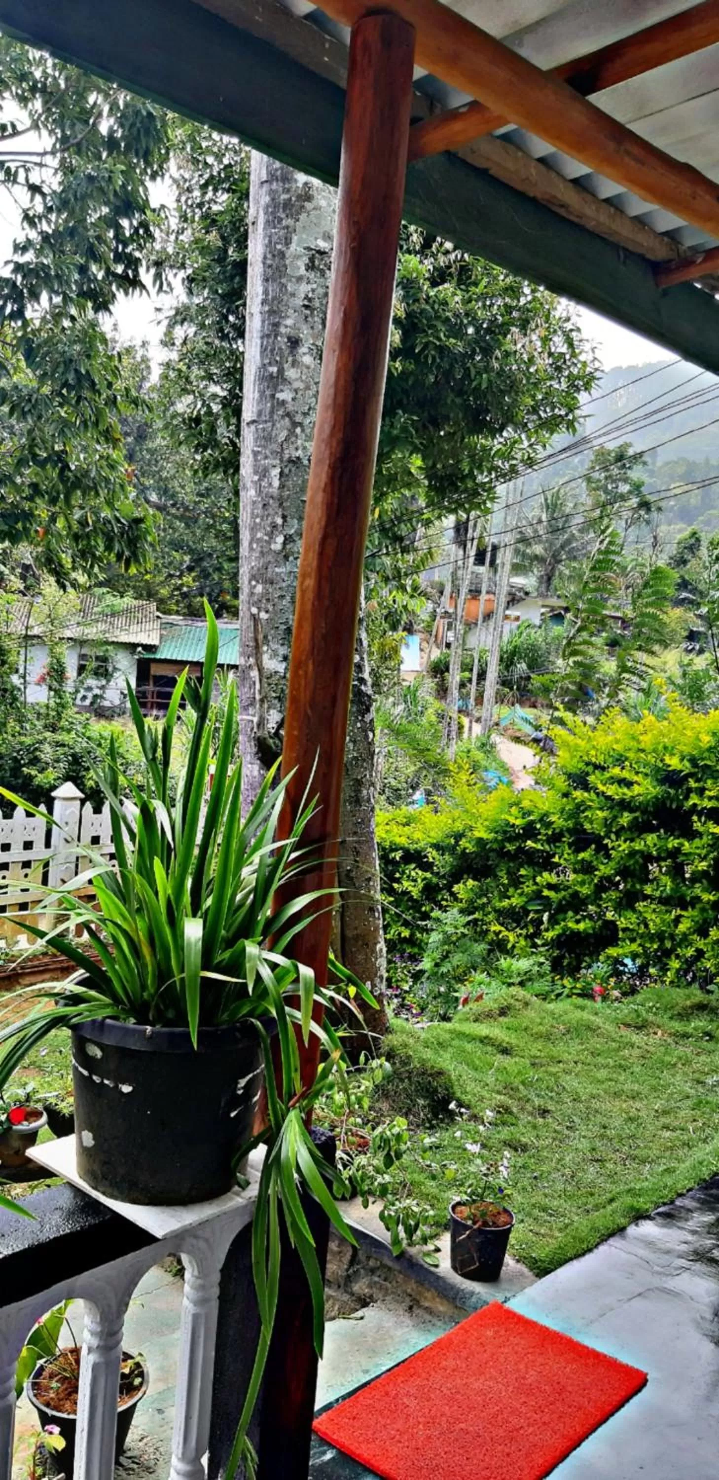 Garden in Cozy Home Stay
