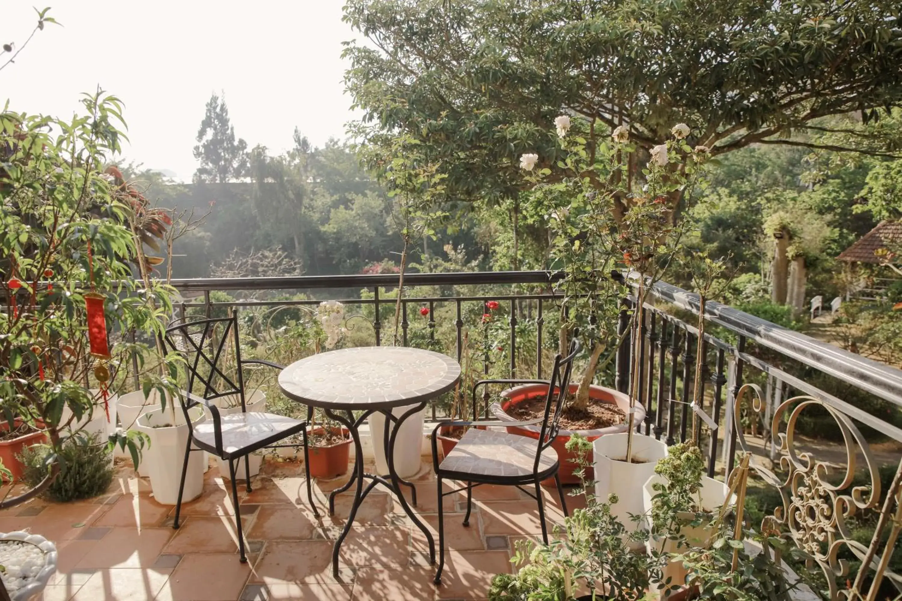 Dalat Terrasse Des Roses Villa