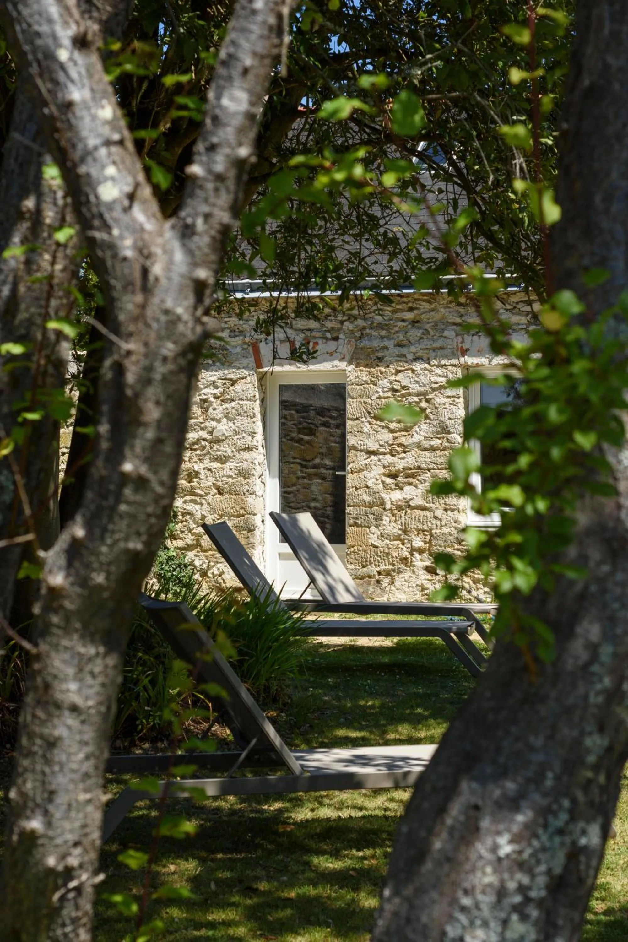 Garden in Hotel Le Clos Fleuri