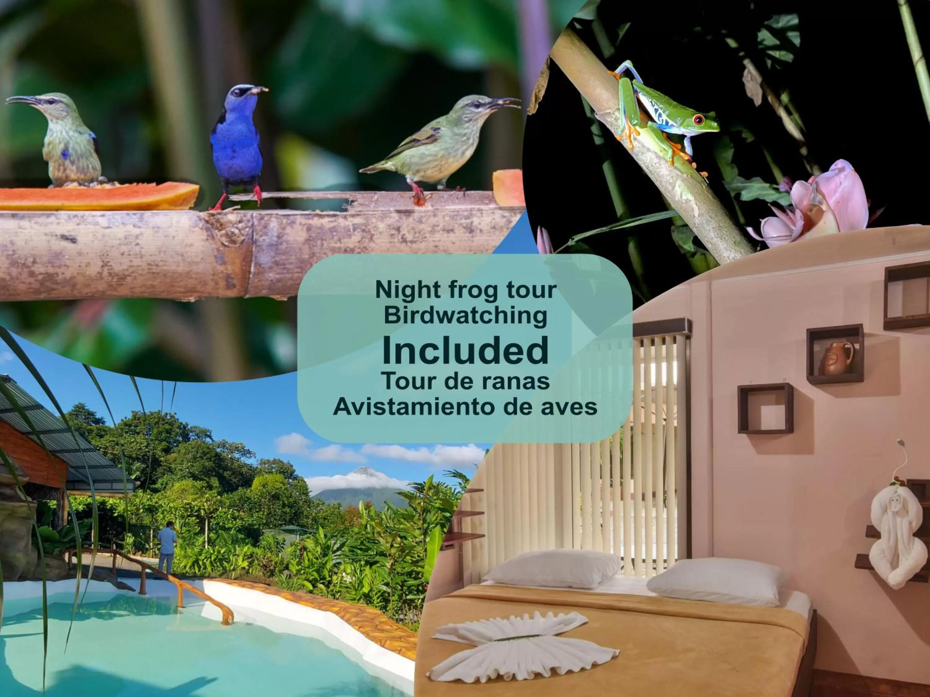 Animals in Cabañas del Rio