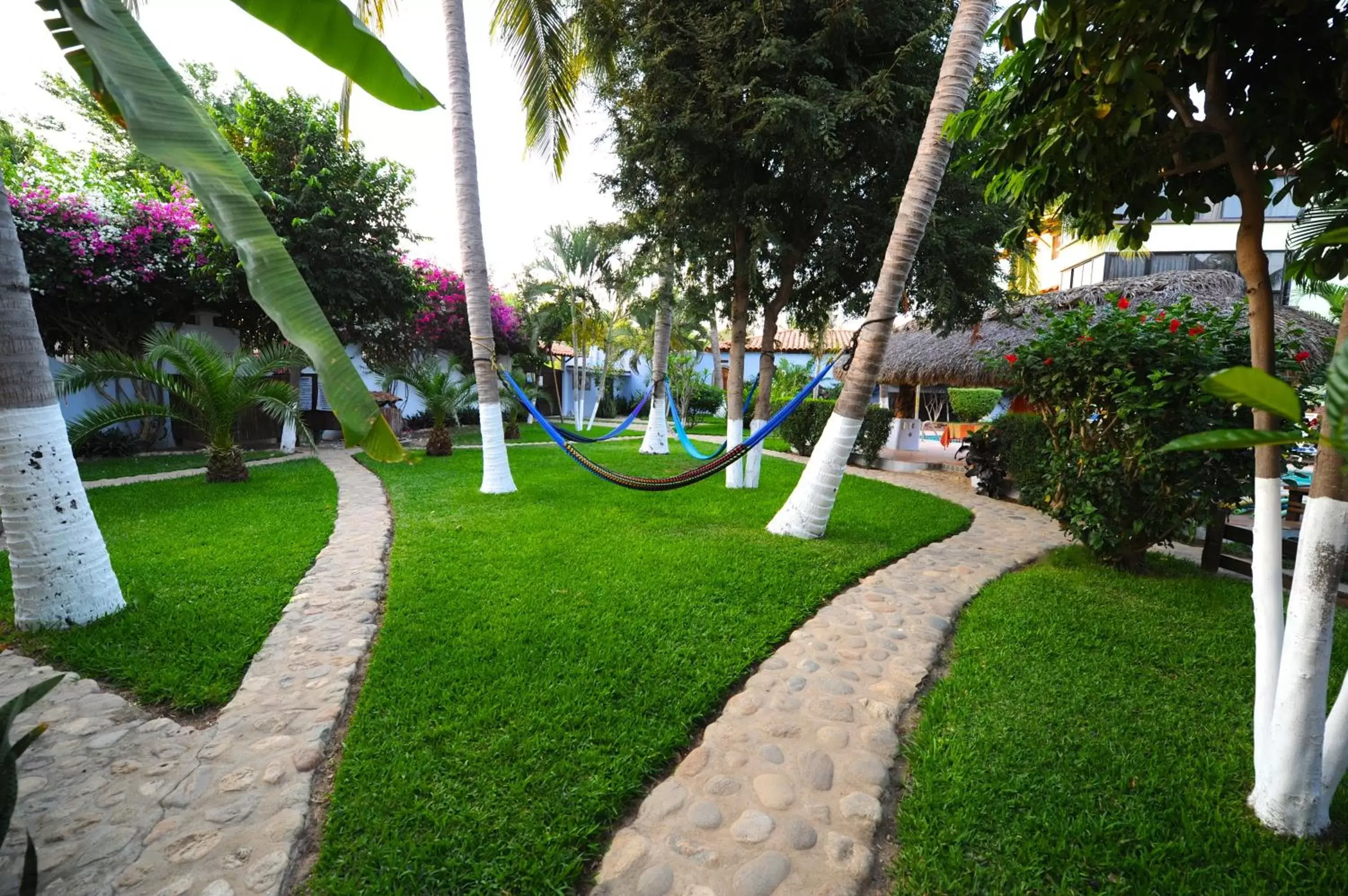 Garden in Hotel Casamar Suites