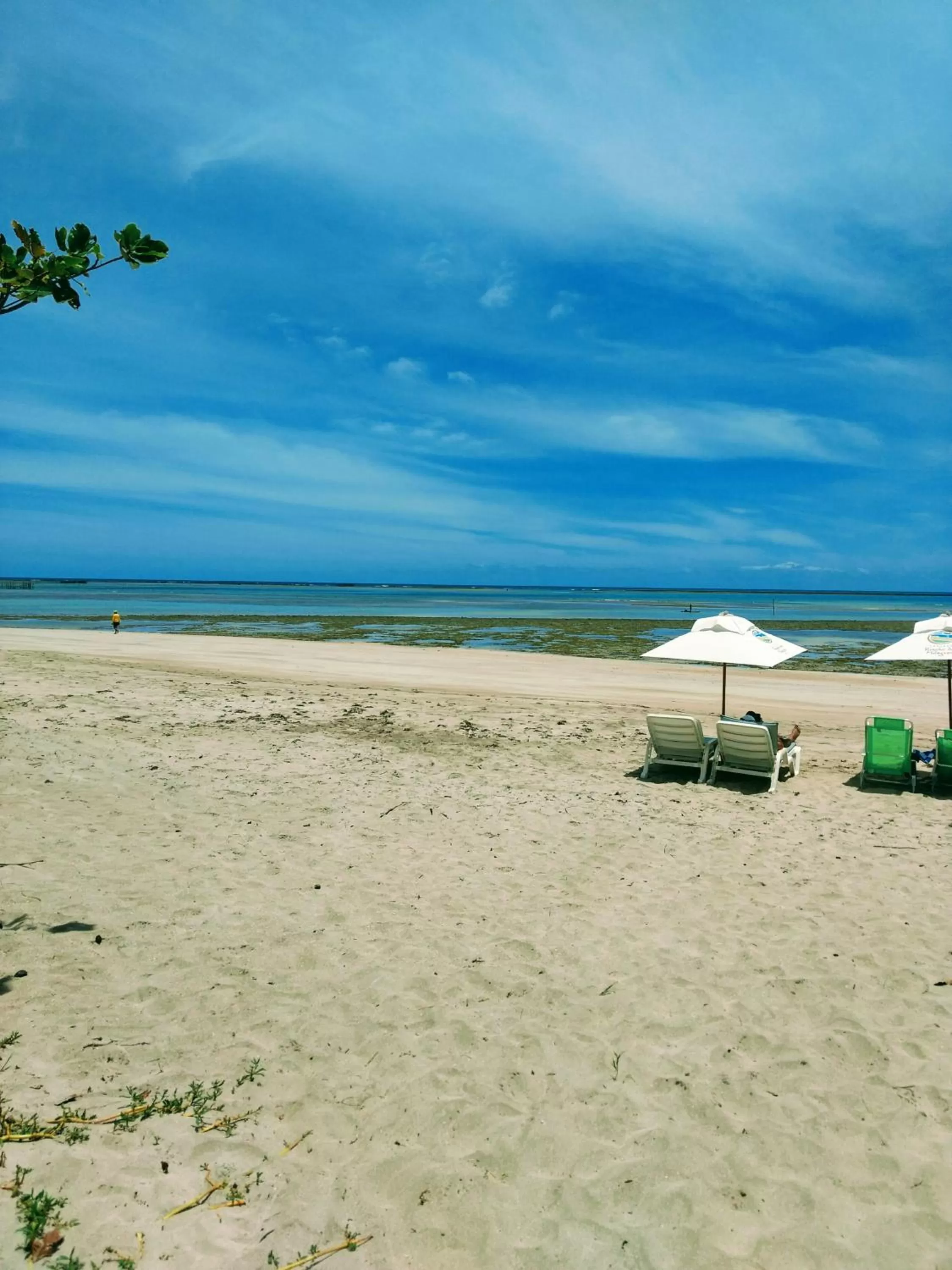 Natural landscape in Pousada Riacho dos Milagres