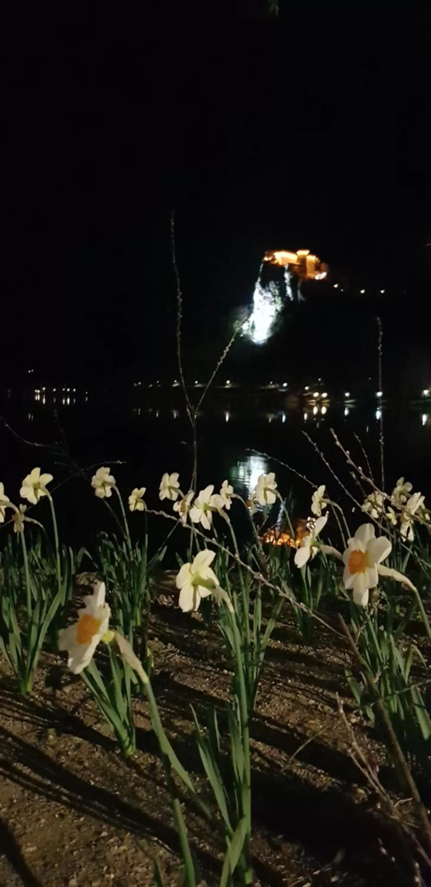 Nearby landmark in Hotel GH Kolinska