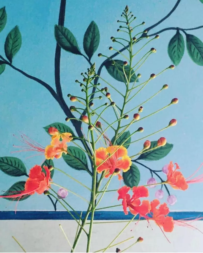 Property building in Villa Jacaranda