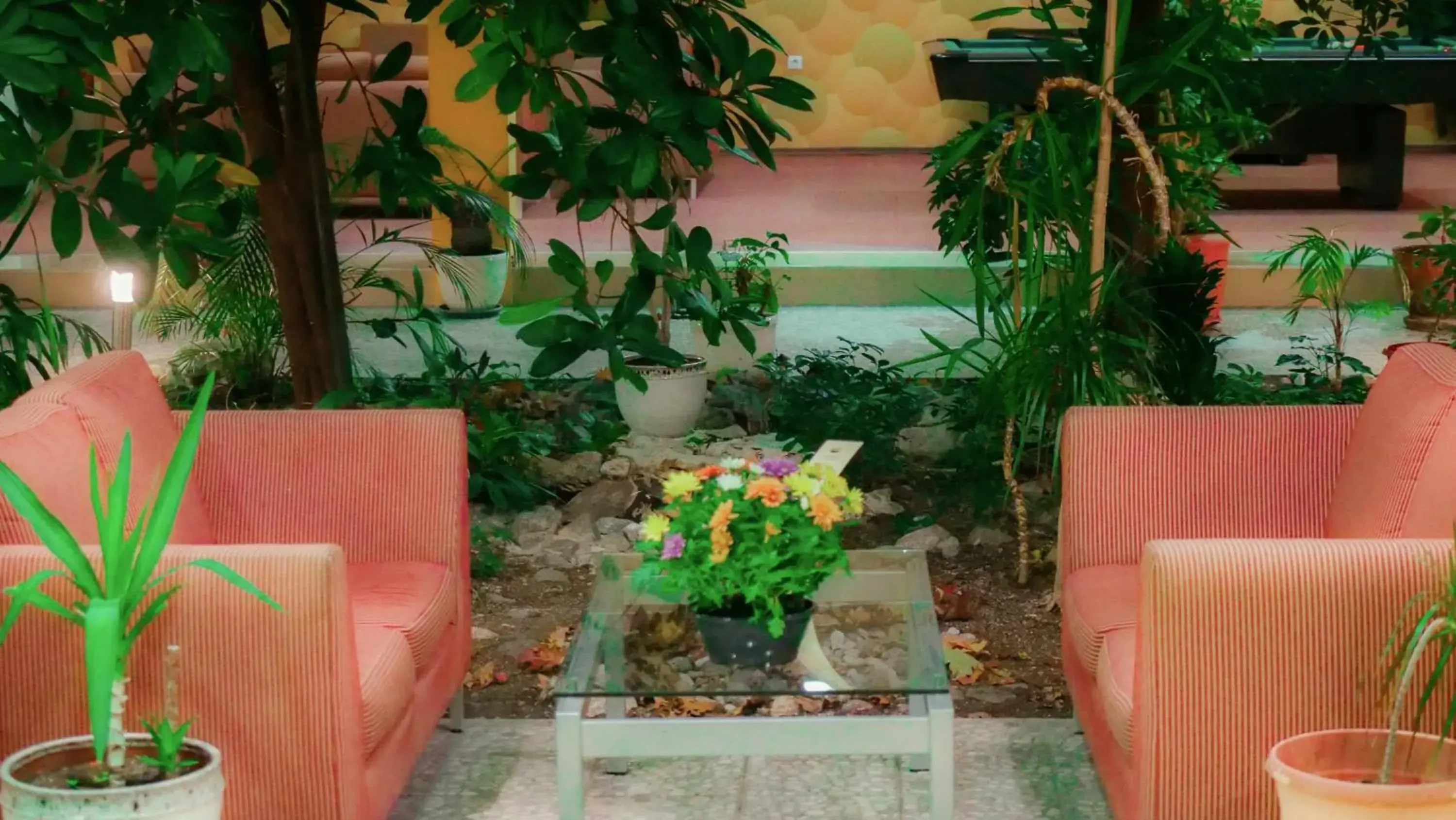 Garden in Hotel Bankya Palace