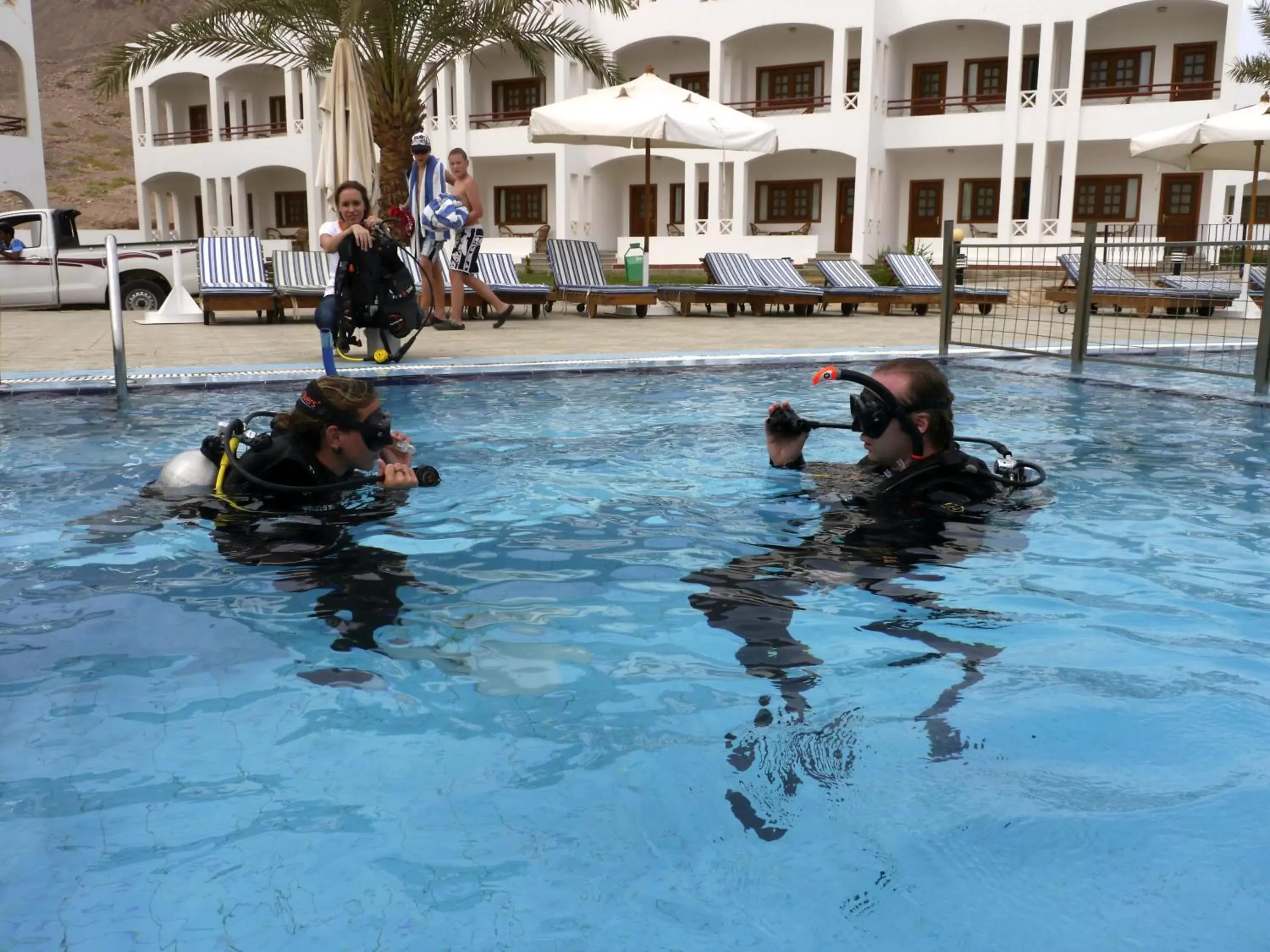 Diving, Swimming Pool in Happy Life Village Dahab