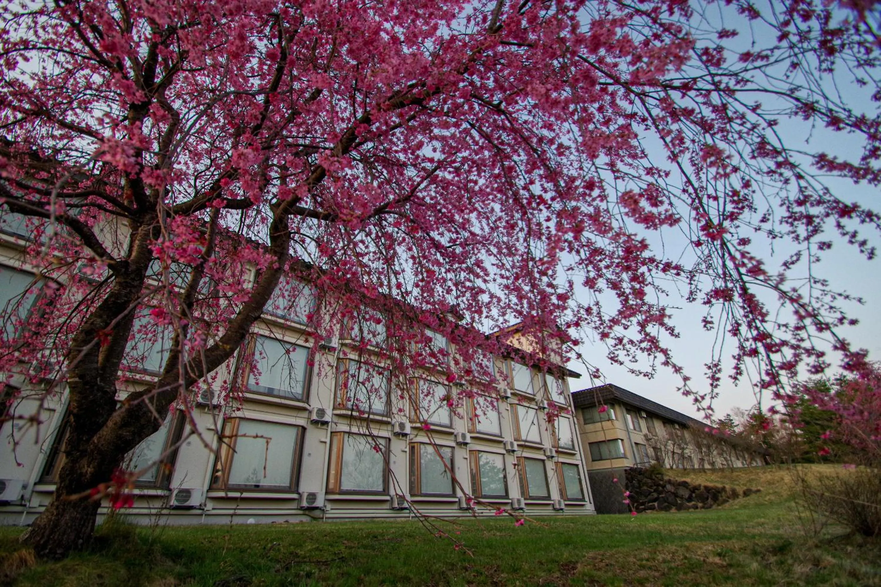 Property building in Tsumagoi Prince Hotel