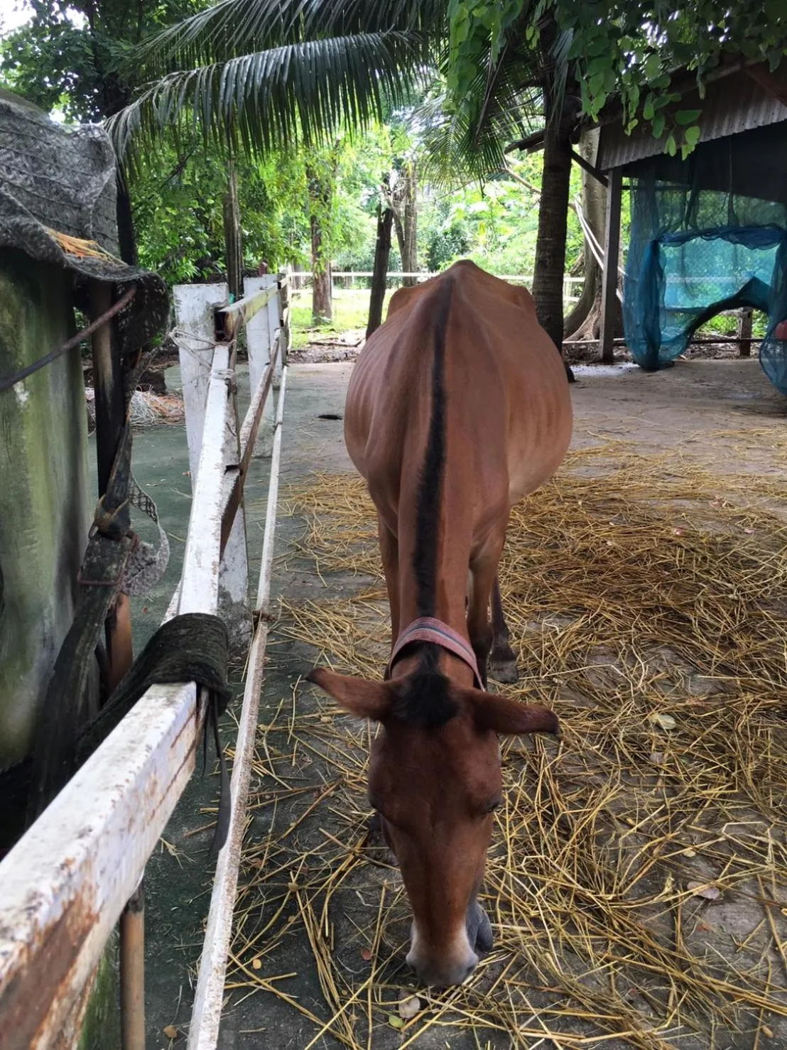 Scenic Riverside Resort