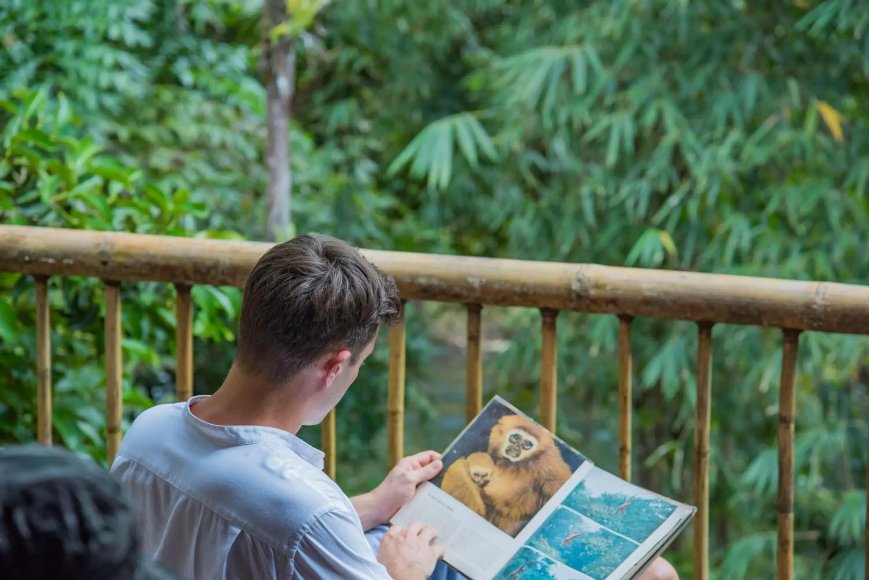 View (from property/room) in Our Jungle Camp - Eco Resort SHA Certified