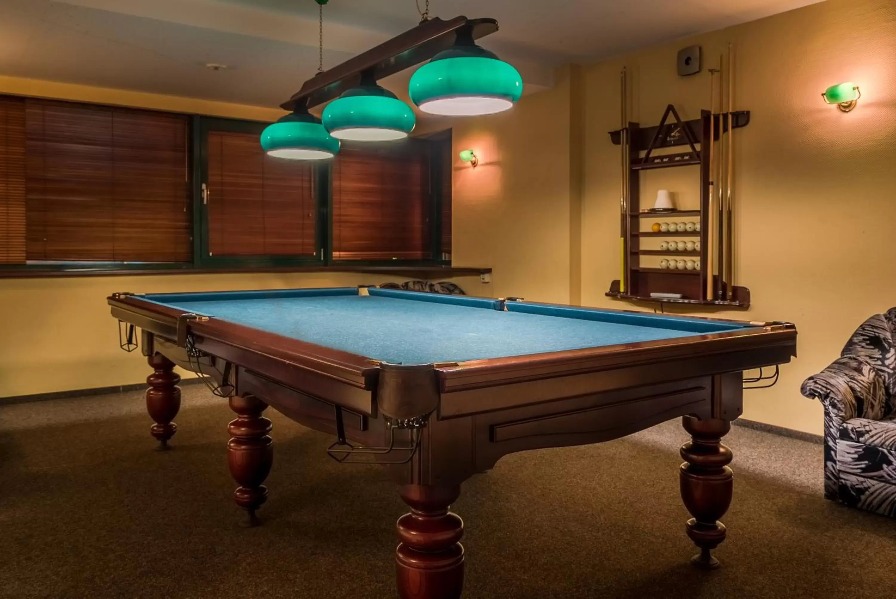 Billiard in Hotel Zemaites Billiard in Hotel Zemaites