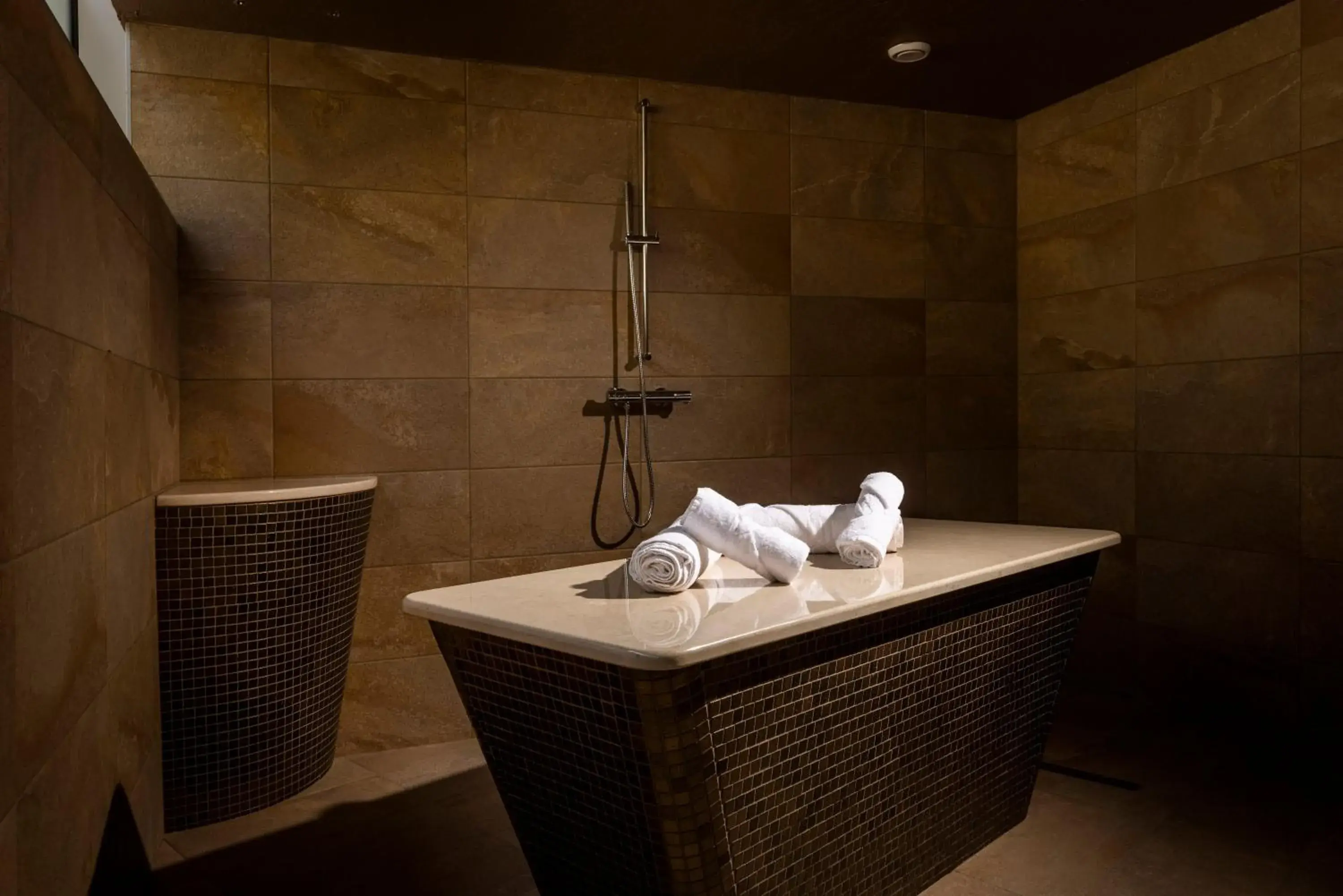 Spa and wellness centre/facilities, Bathroom in Hotel Histrion