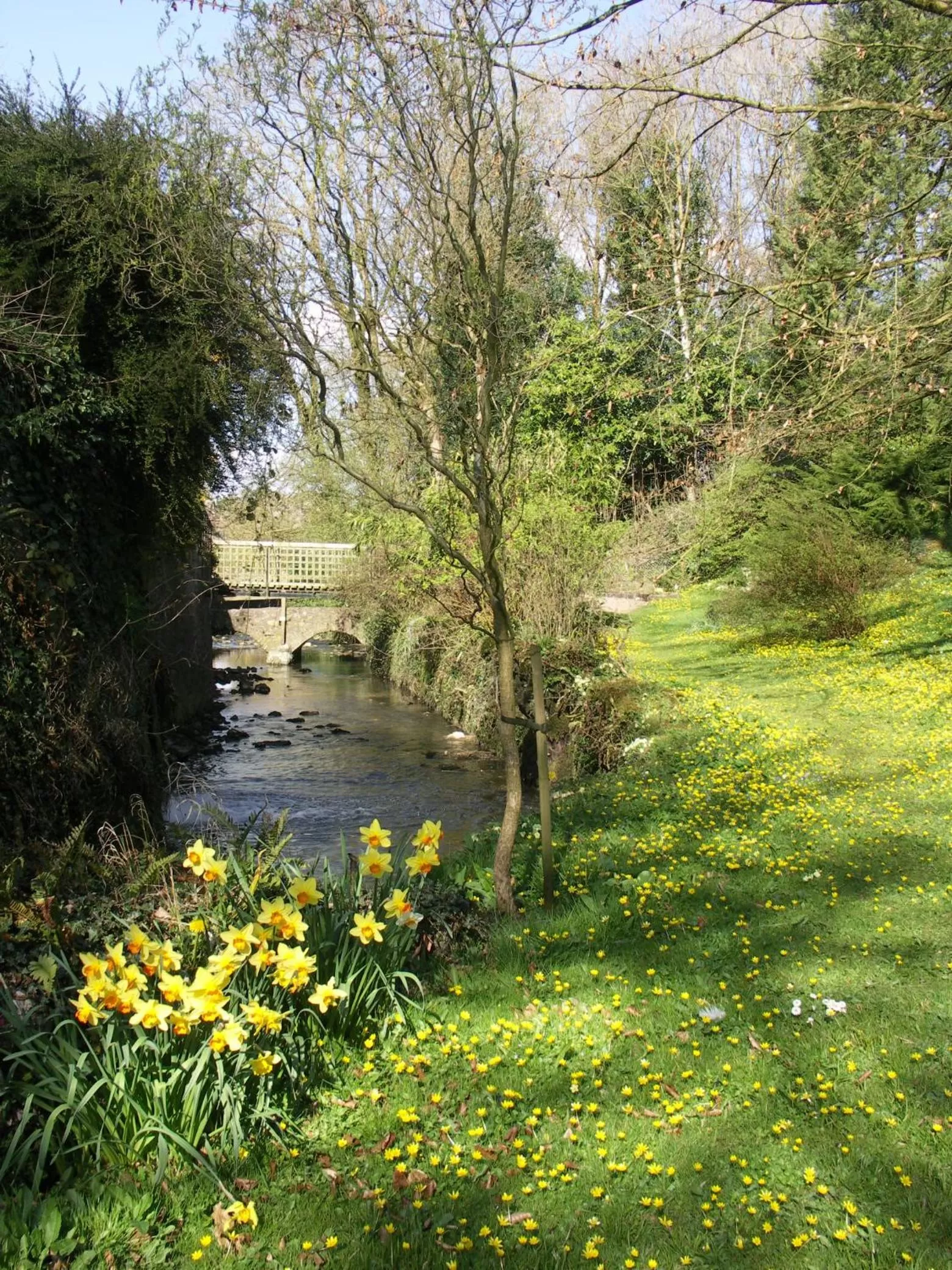 Garden in Stay at Penny's Mill
