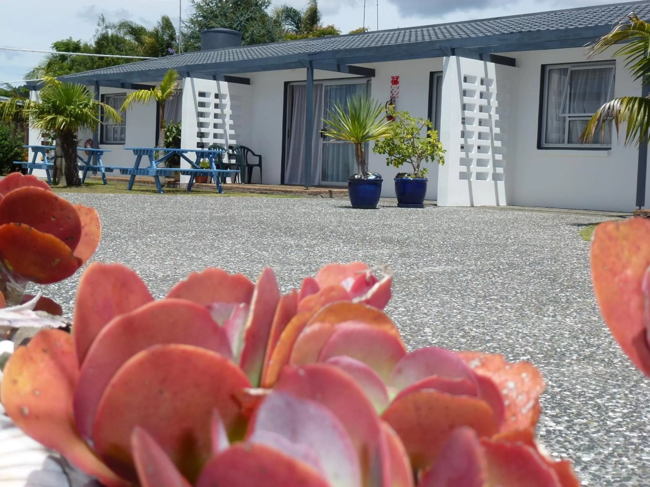 Other in Mana-Nui Motel