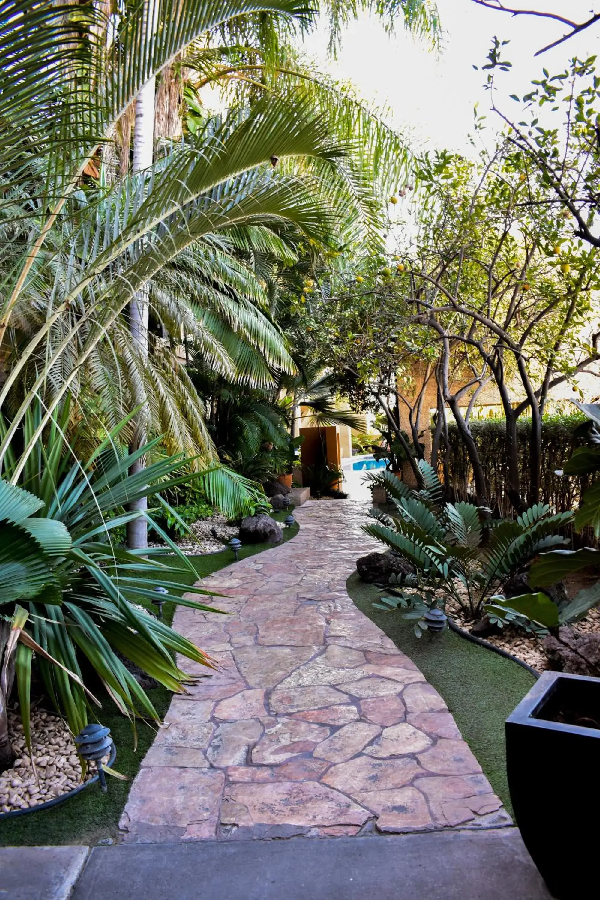 Garden in Hotel San Luis Lindavista